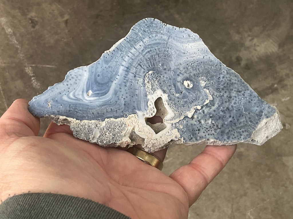 136g Natural Blue Coral Fossil Slab 9B