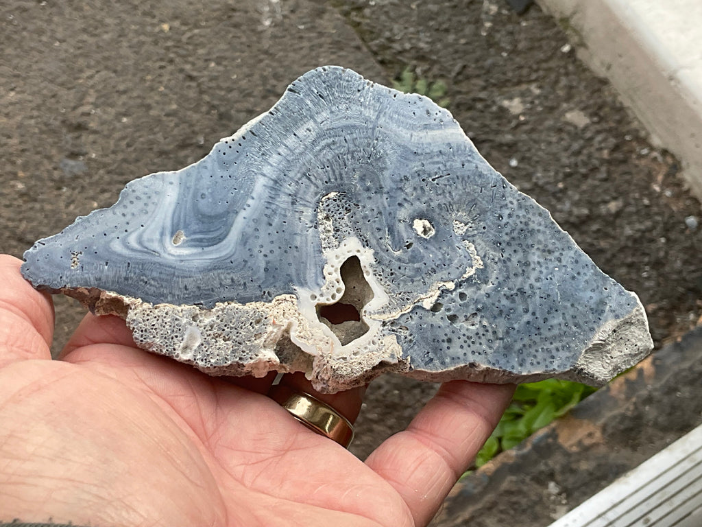 136g Natural Blue Coral Fossil Slab 9B
