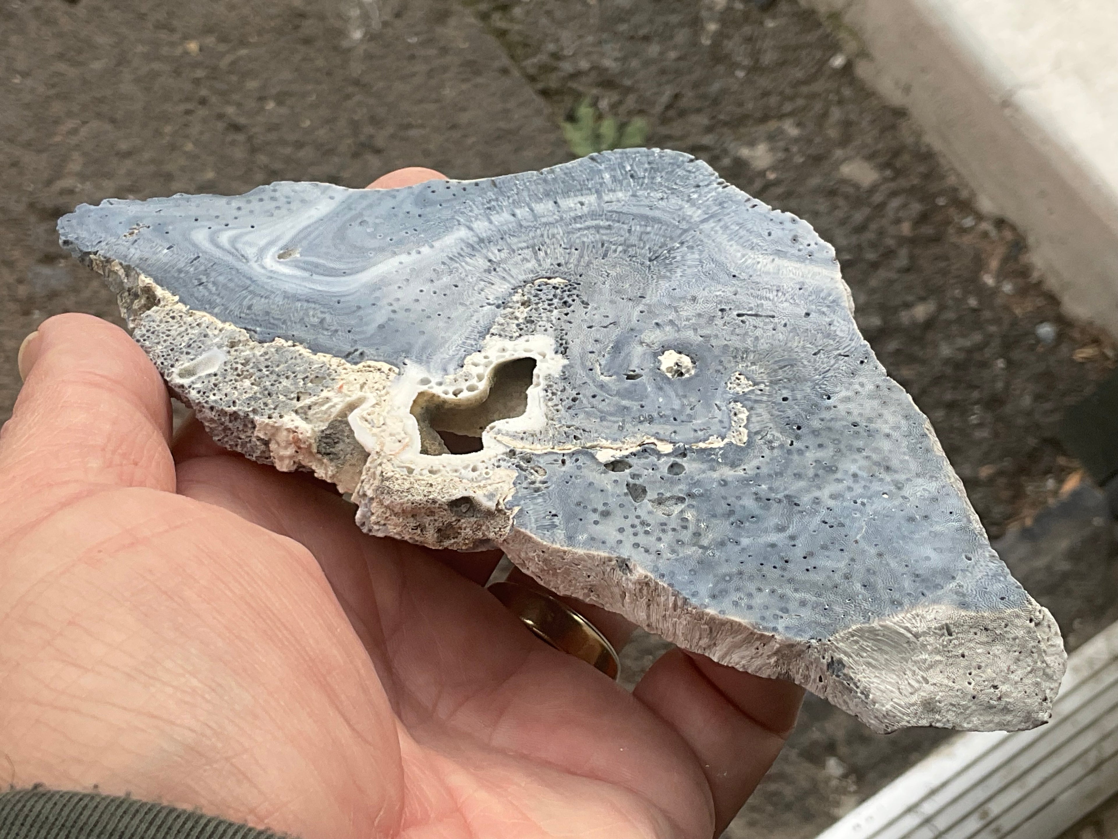 136g Natural Blue Coral Fossil Slab 9B