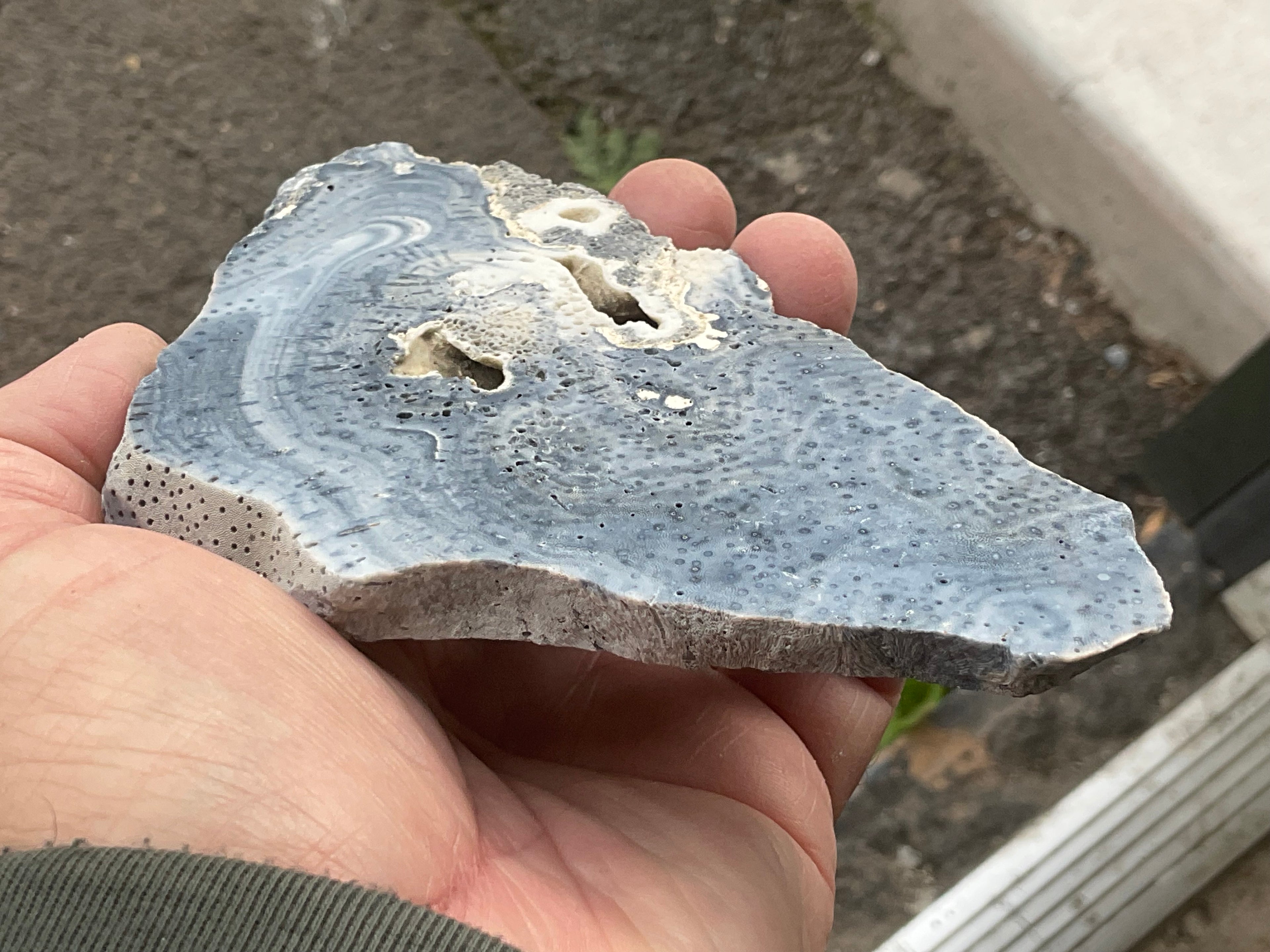 136g Natural Blue Coral Fossil Slab 9B
