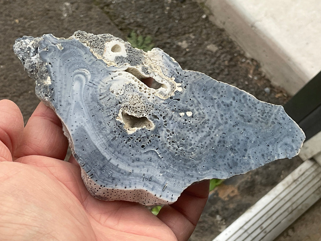 136g Natural Blue Coral Fossil Slab 9B