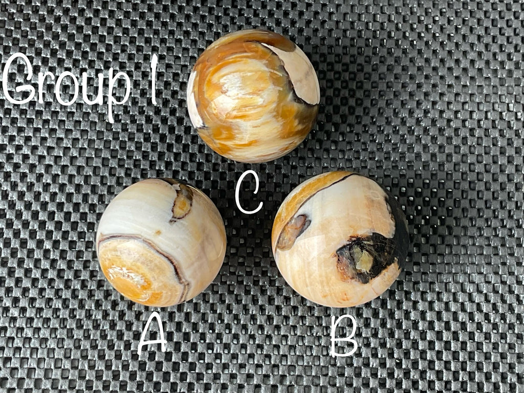 234g (6cm diameter) Opalised/Agatised Wood Sphere 1C from Springsure