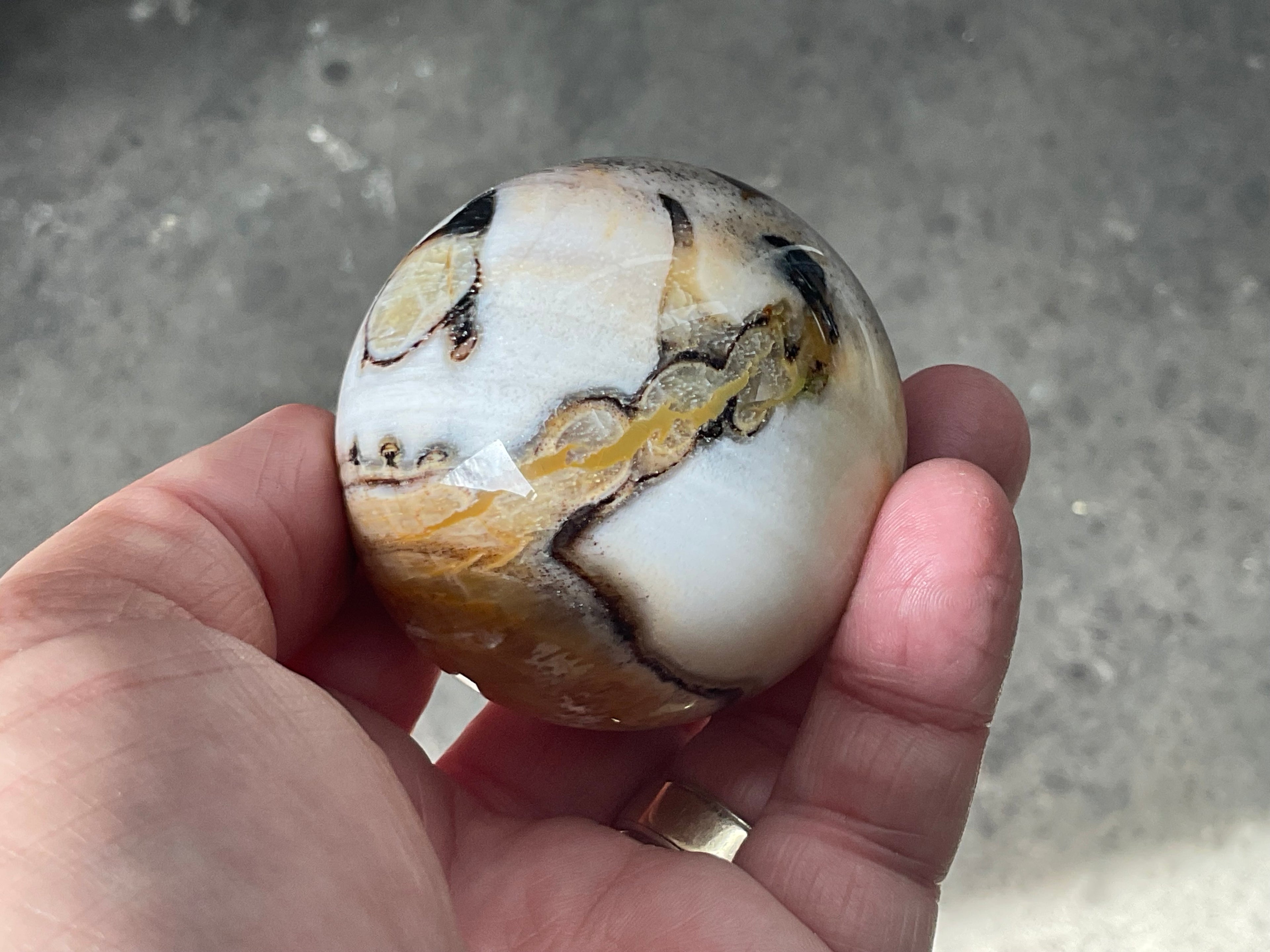 190g (5.5cm diameter) Opalised/Agatised Wood  Sphere 1A from Springsure