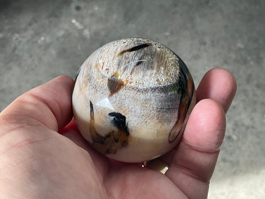 190g (5.5cm diameter) Opalised/Agatised Wood  Sphere 1A from Springsure