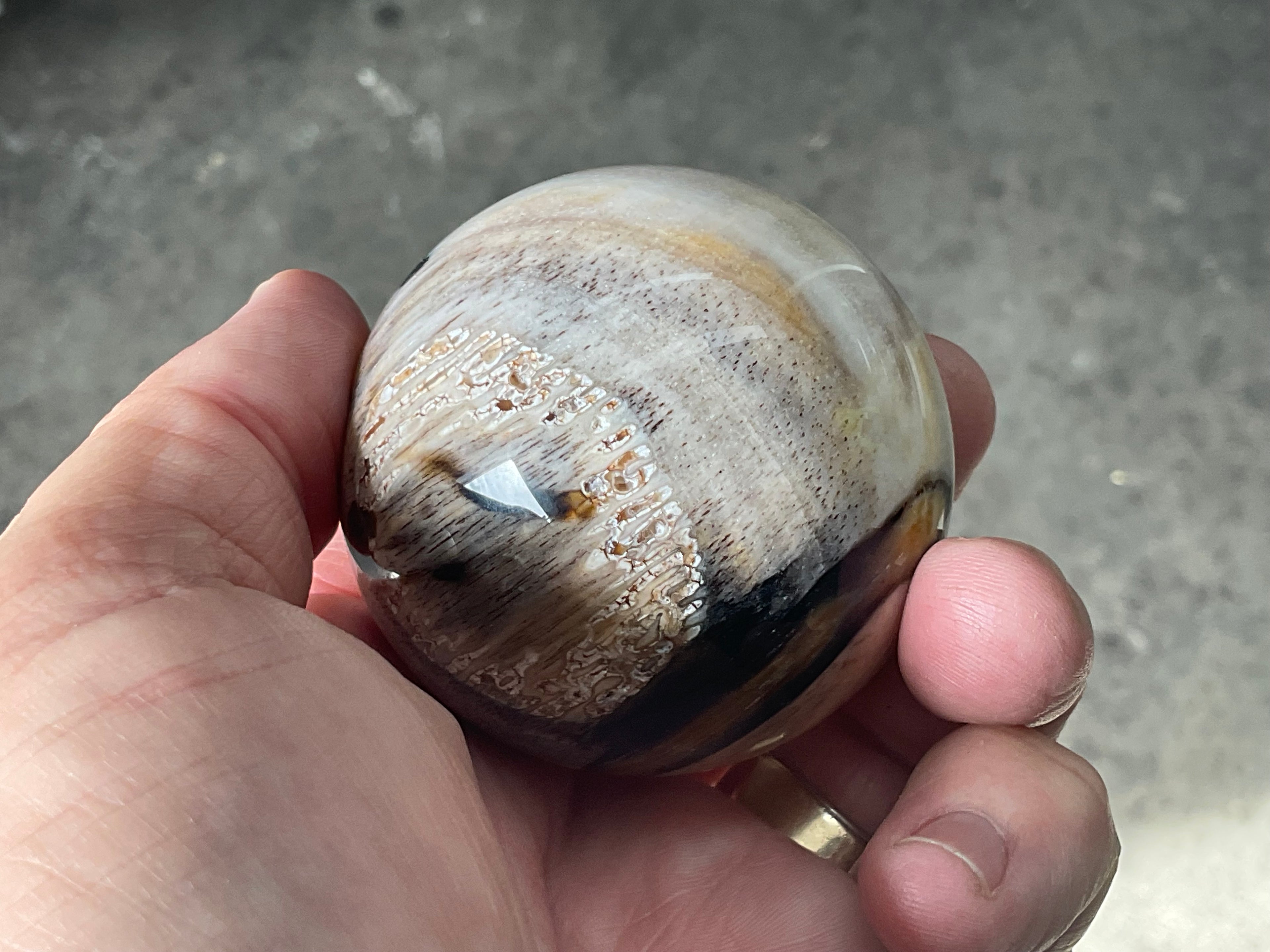 190g (5.5cm diameter) Opalised/Agatised Wood  Sphere 1A from Springsure