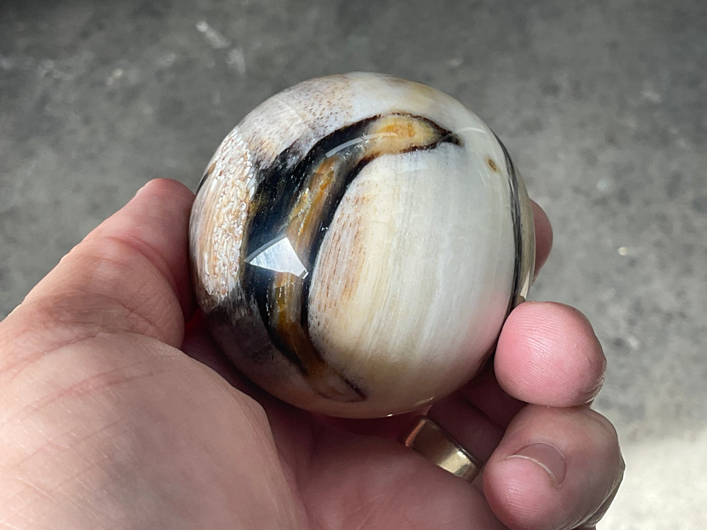 190g (5.5cm diameter) Opalised/Agatised Wood  Sphere 1A from Springsure