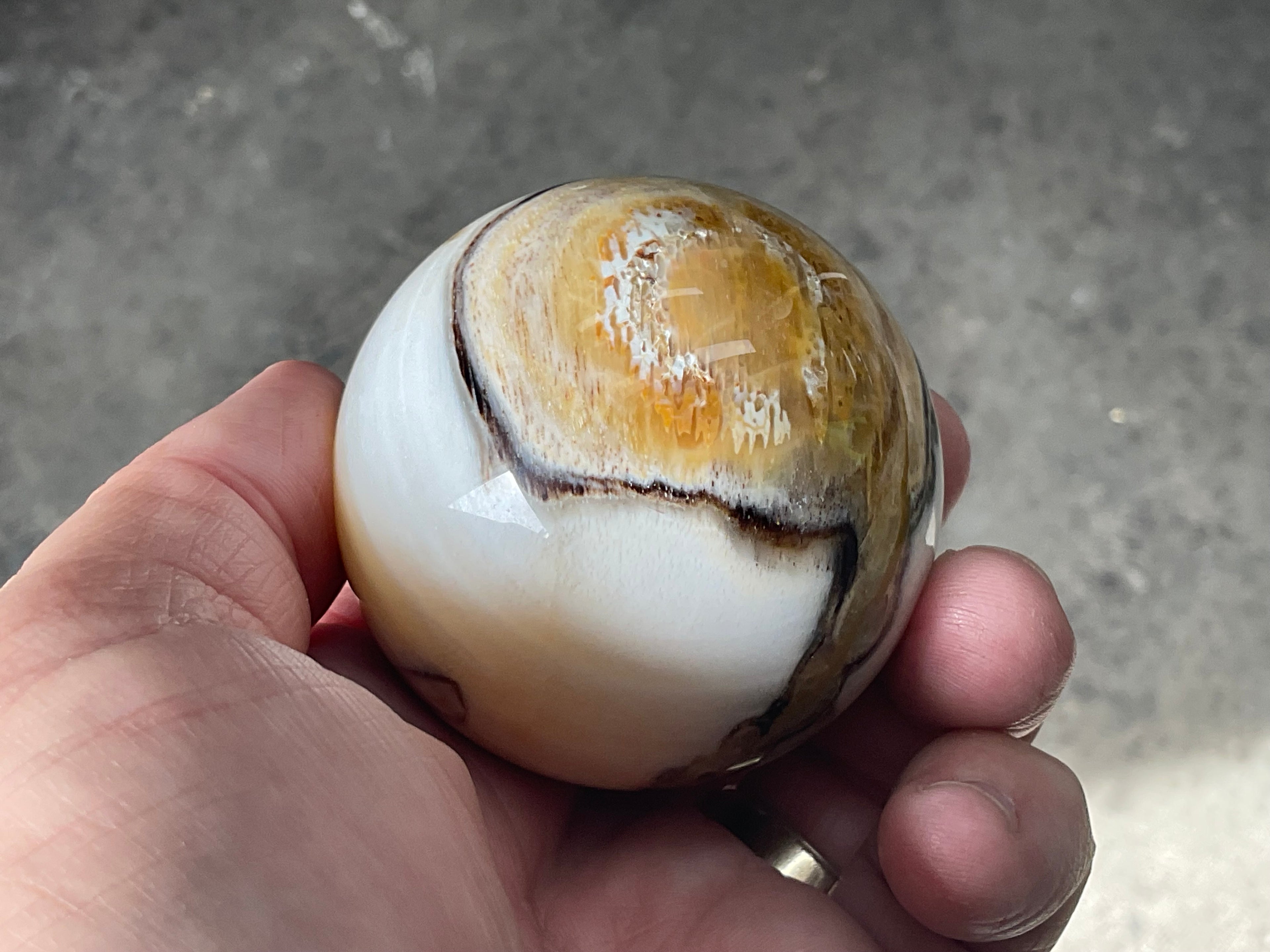 190g (5.5cm diameter) Opalised/Agatised Wood  Sphere 1A from Springsure