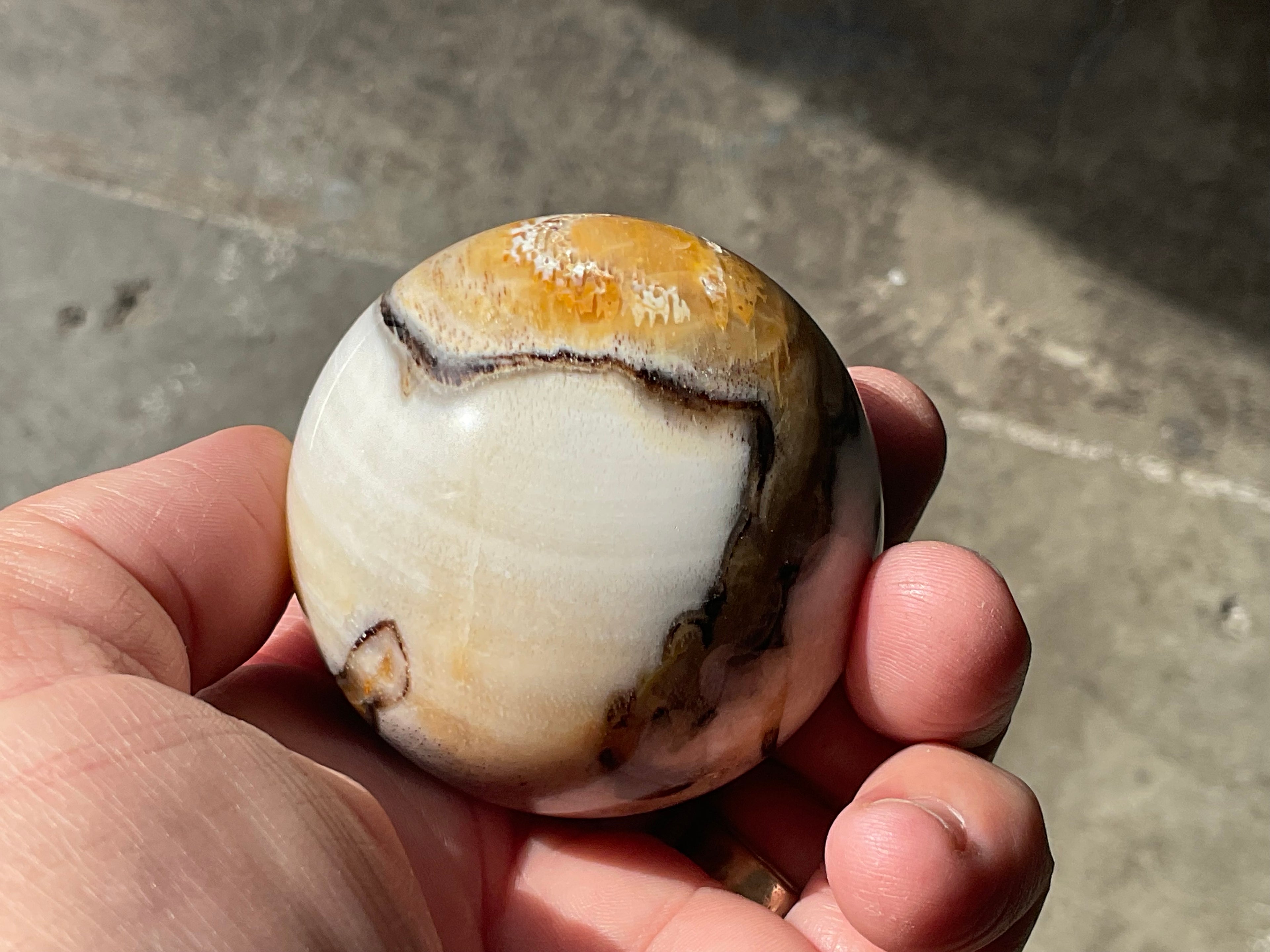 190g (5.5cm diameter) Opalised/Agatised Wood  Sphere 1A from Springsure