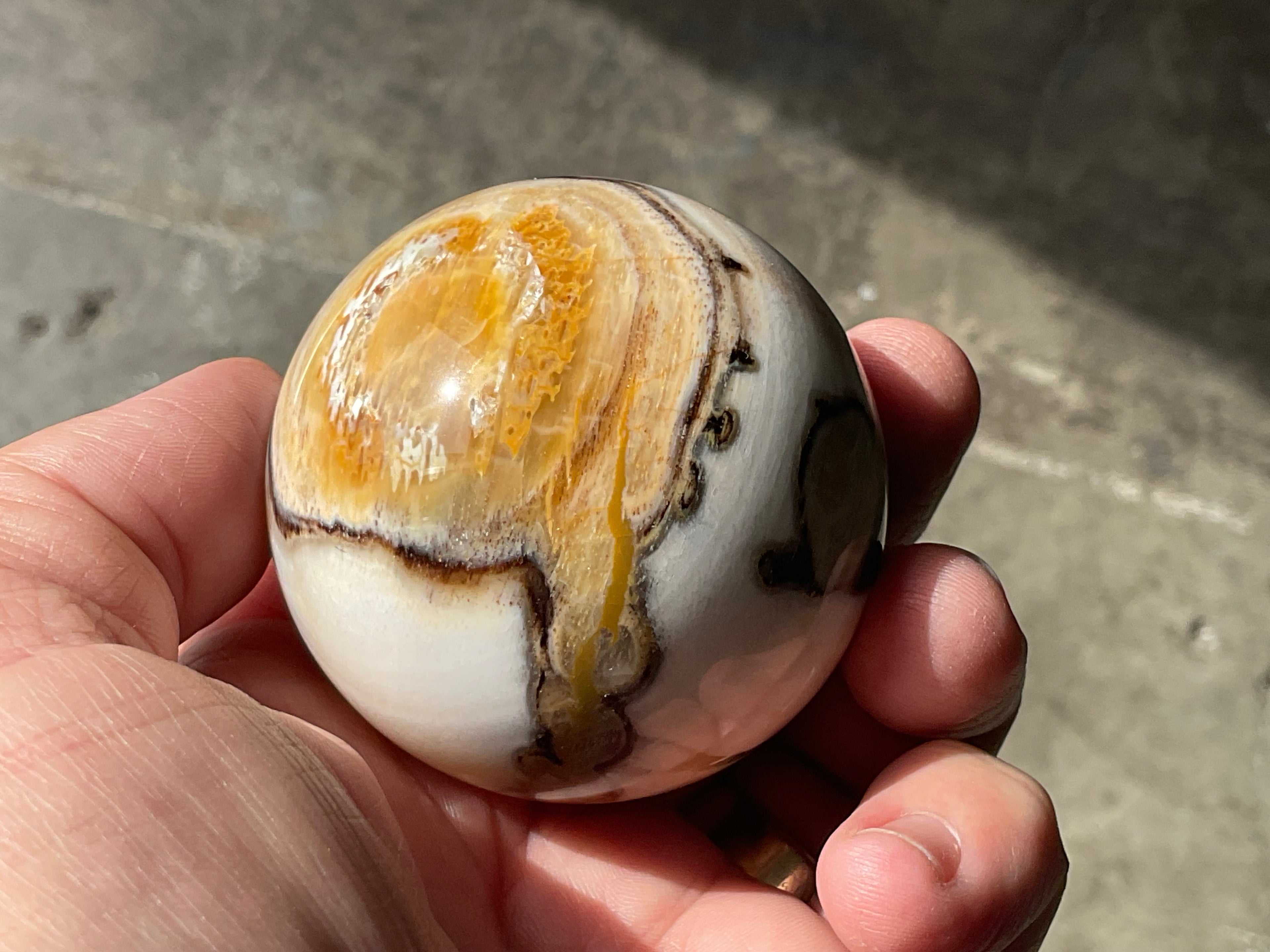 190g (5.5cm diameter) Opalised/Agatised Wood  Sphere 1A from Springsure