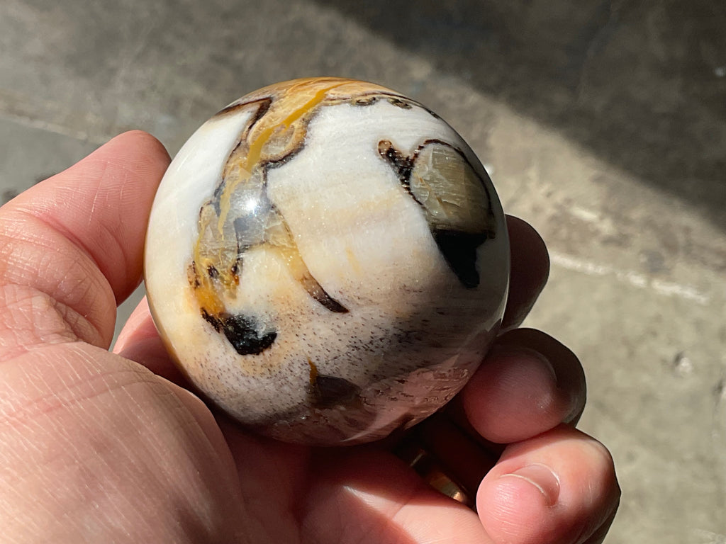 190g (5.5cm diameter) Opalised/Agatised Wood  Sphere 1A from Springsure