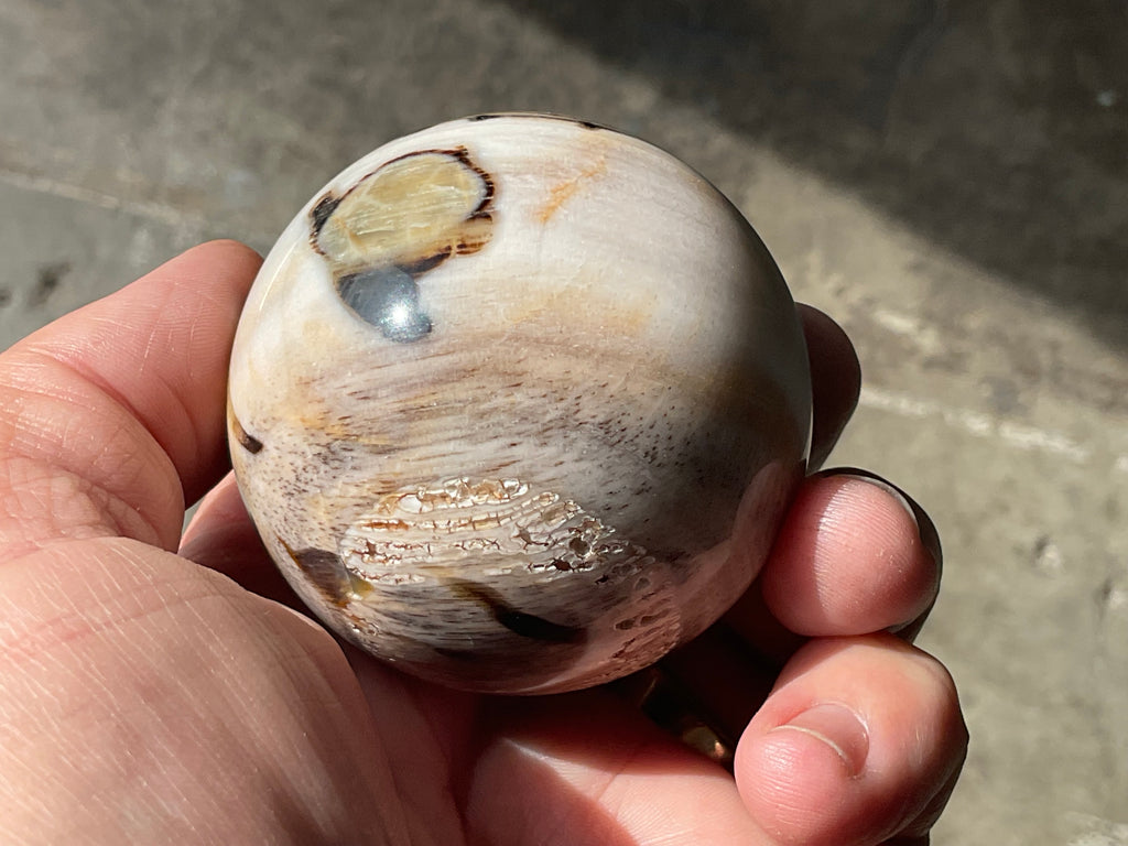 190g (5.5cm diameter) Opalised/Agatised Wood  Sphere 1A from Springsure