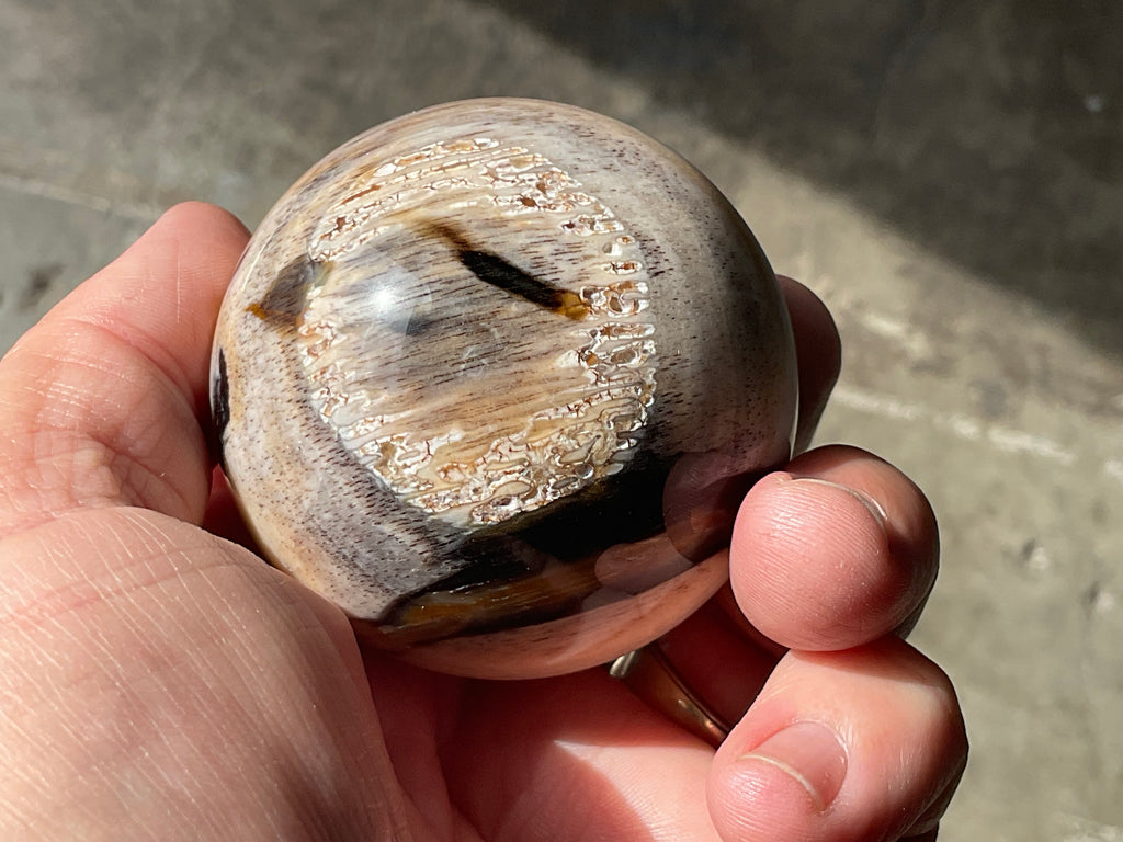 190g (5.5cm diameter) Opalised/Agatised Wood  Sphere 1A from Springsure
