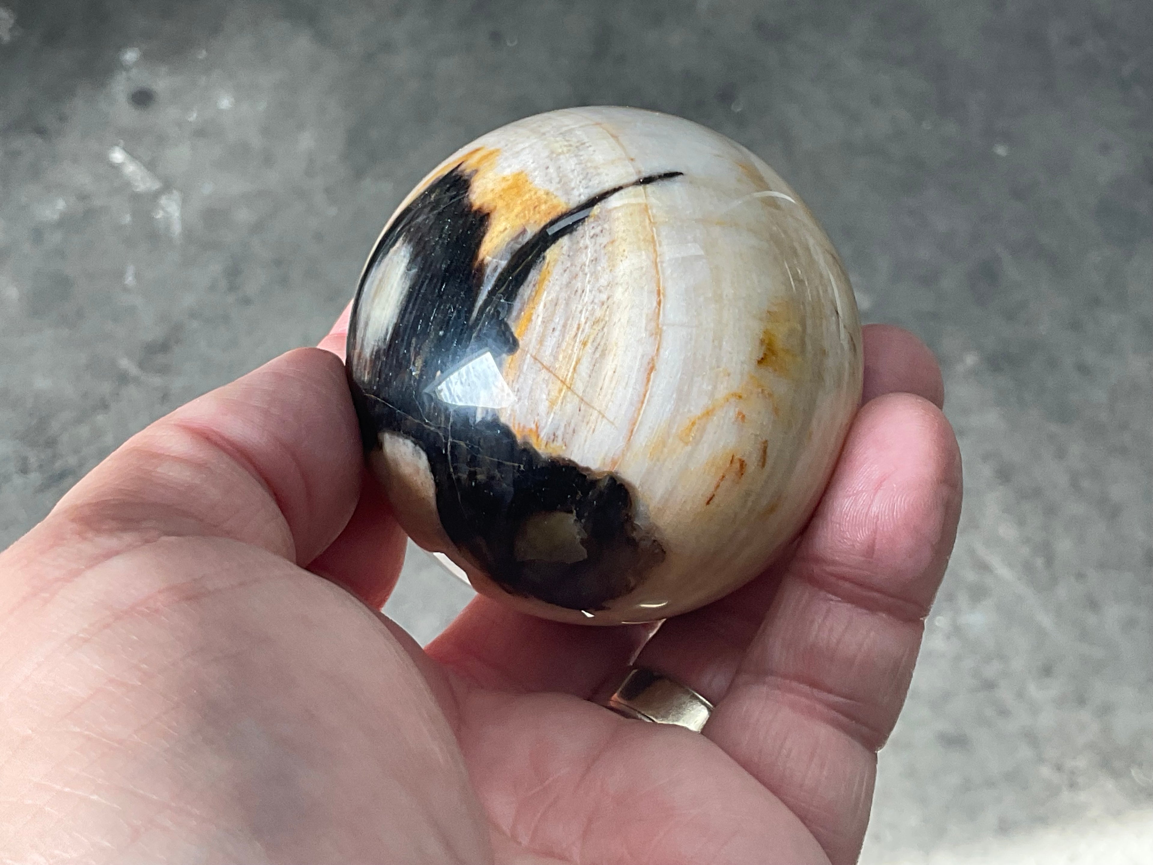 226g (6cm diameter) Opalized/Agatised Wood Sphere 1B from Springsure