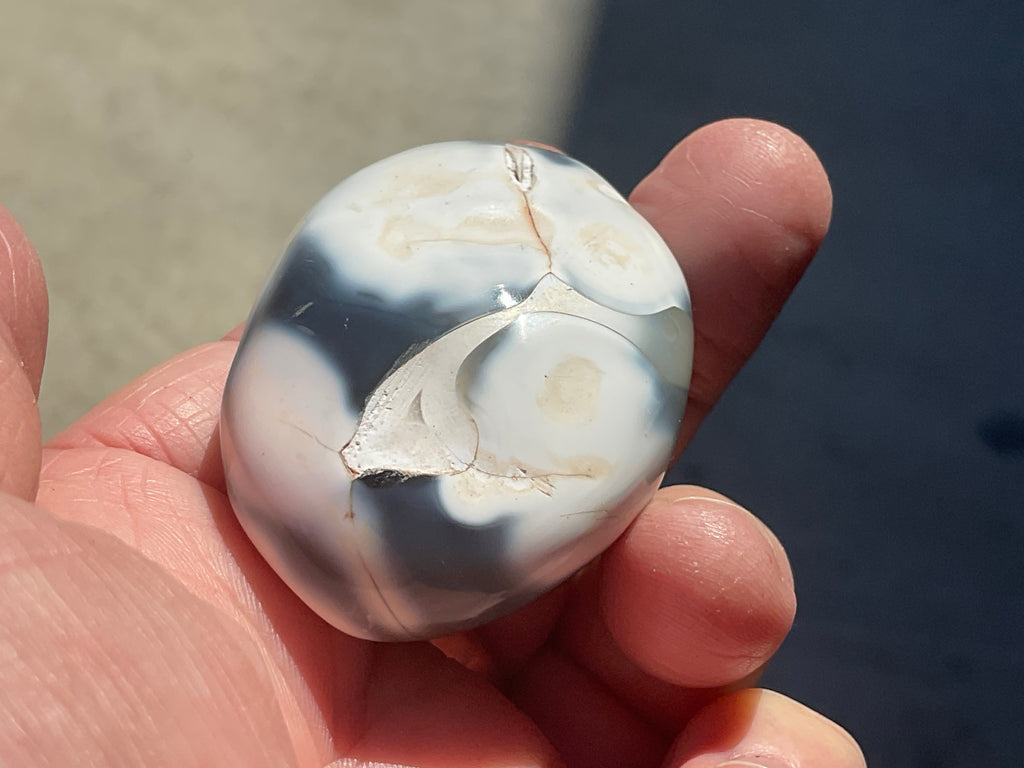 76g Orca Agate Palmstone 1B