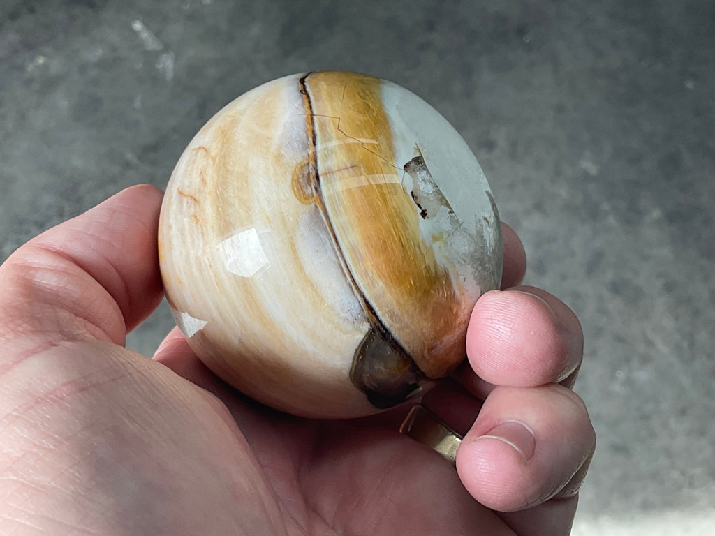 226g (6cm diameter) Opalized/Agatised Wood Sphere 1B from Springsure