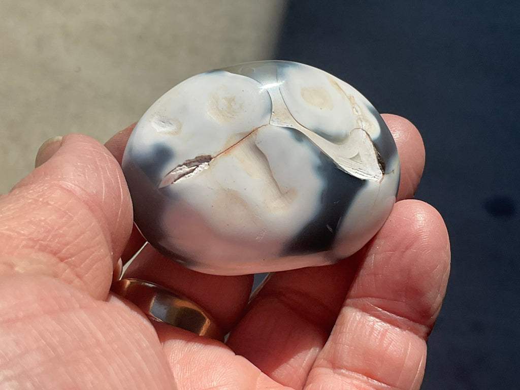 76g Orca Agate Palmstone 1B