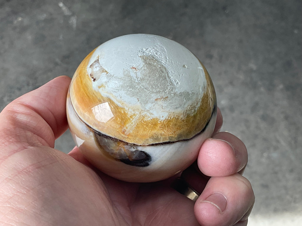 226g (6cm diameter) Opalized/Agatised Wood Sphere 1B from Springsure