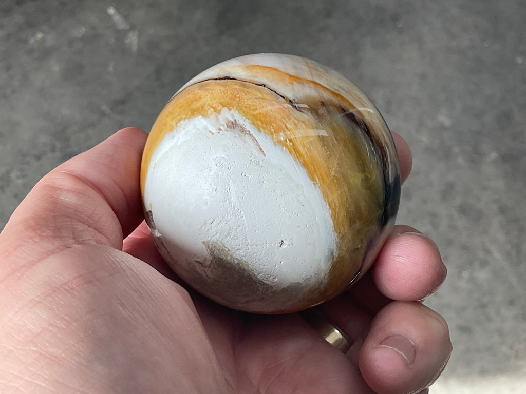 226g (6cm diameter) Opalized/Agatised Wood Sphere 1B from Springsure