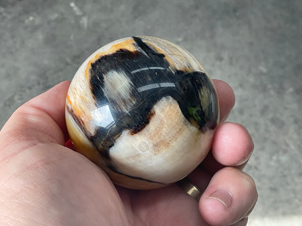 226g (6cm diameter) Opalized/Agatised Wood Sphere 1B from Springsure