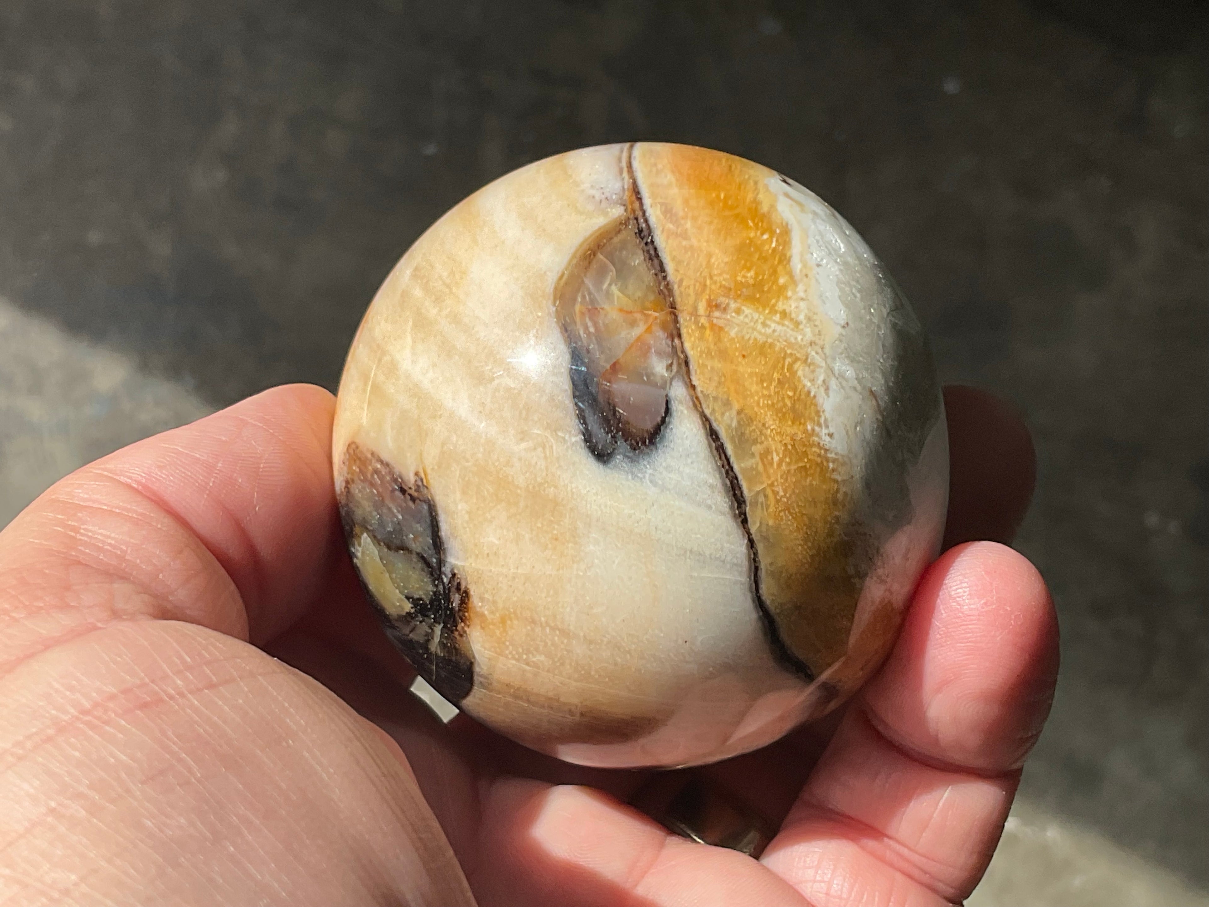 226g (6cm diameter) Opalized/Agatised Wood Sphere 1B from Springsure