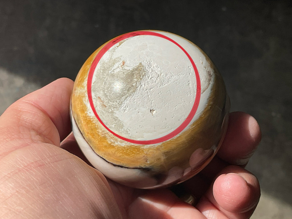 226g (6cm diameter) Opalized/Agatised Wood Sphere 1B from Springsure