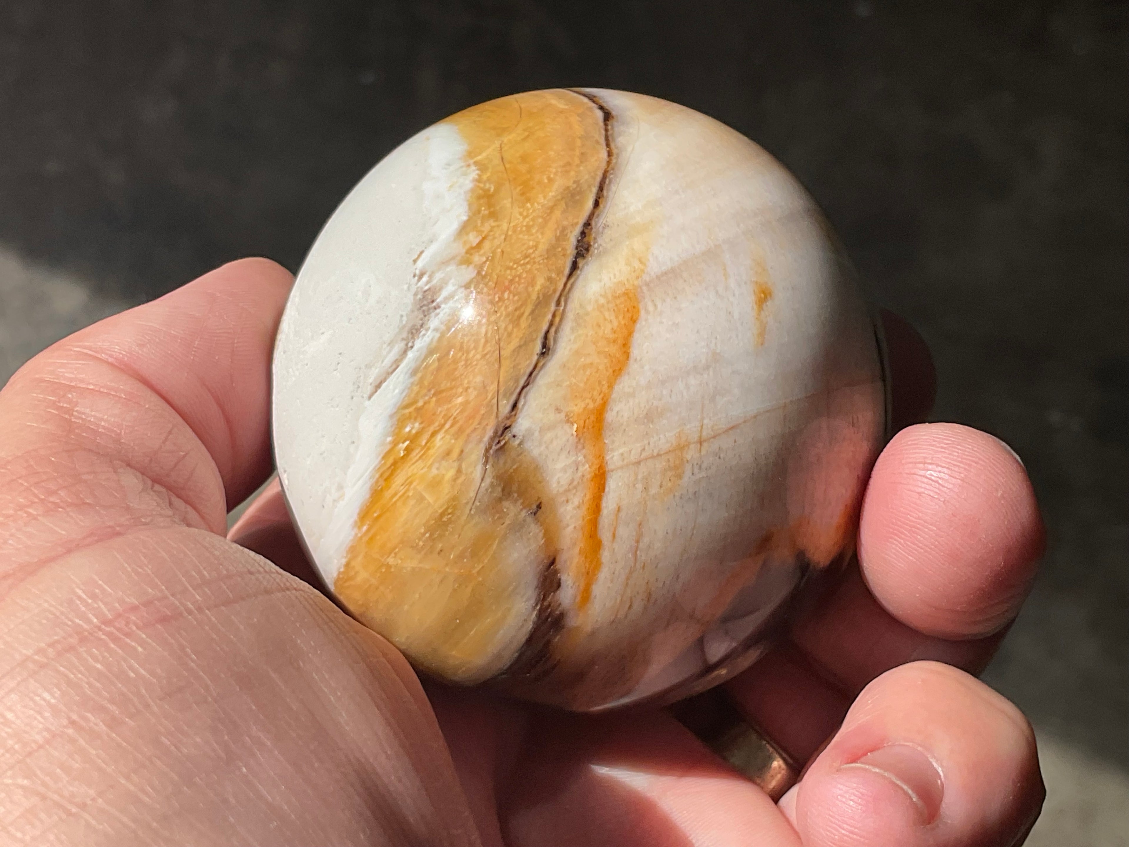 226g (6cm diameter) Opalized/Agatised Wood Sphere 1B from Springsure