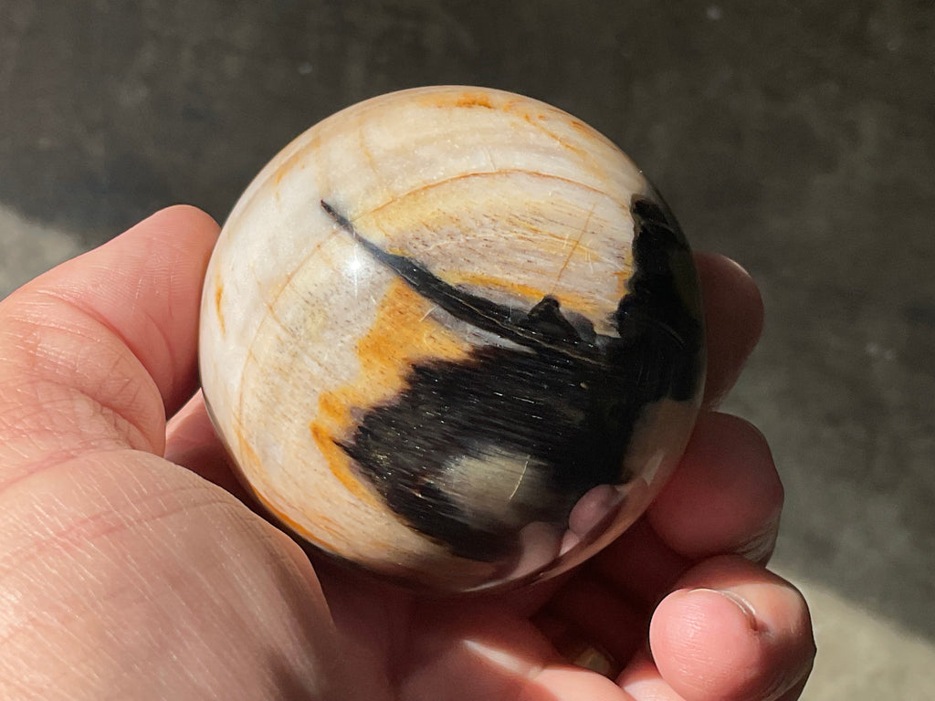 226g (6cm diameter) Opalized/Agatised Wood Sphere 1B from Springsure