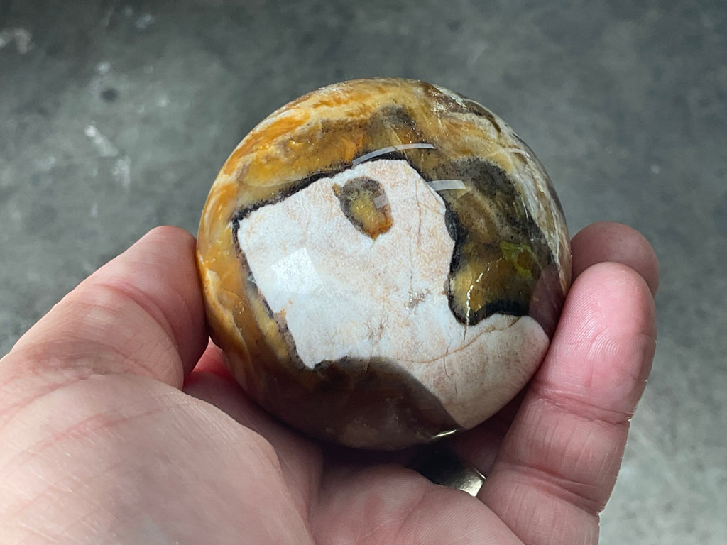 234g (6cm diameter) Opalised/Agatised Wood Sphere 1C from Springsure