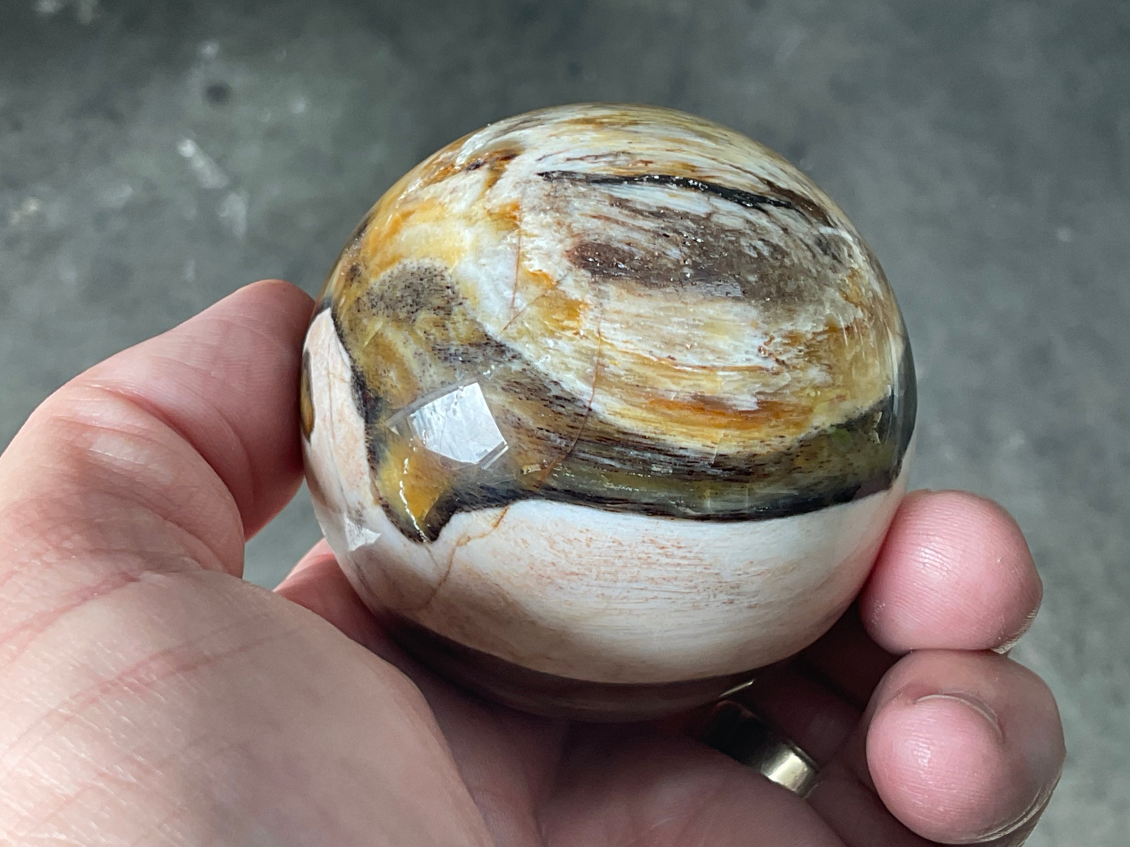 234g (6cm diameter) Opalised/Agatised Wood Sphere 1C from Springsure