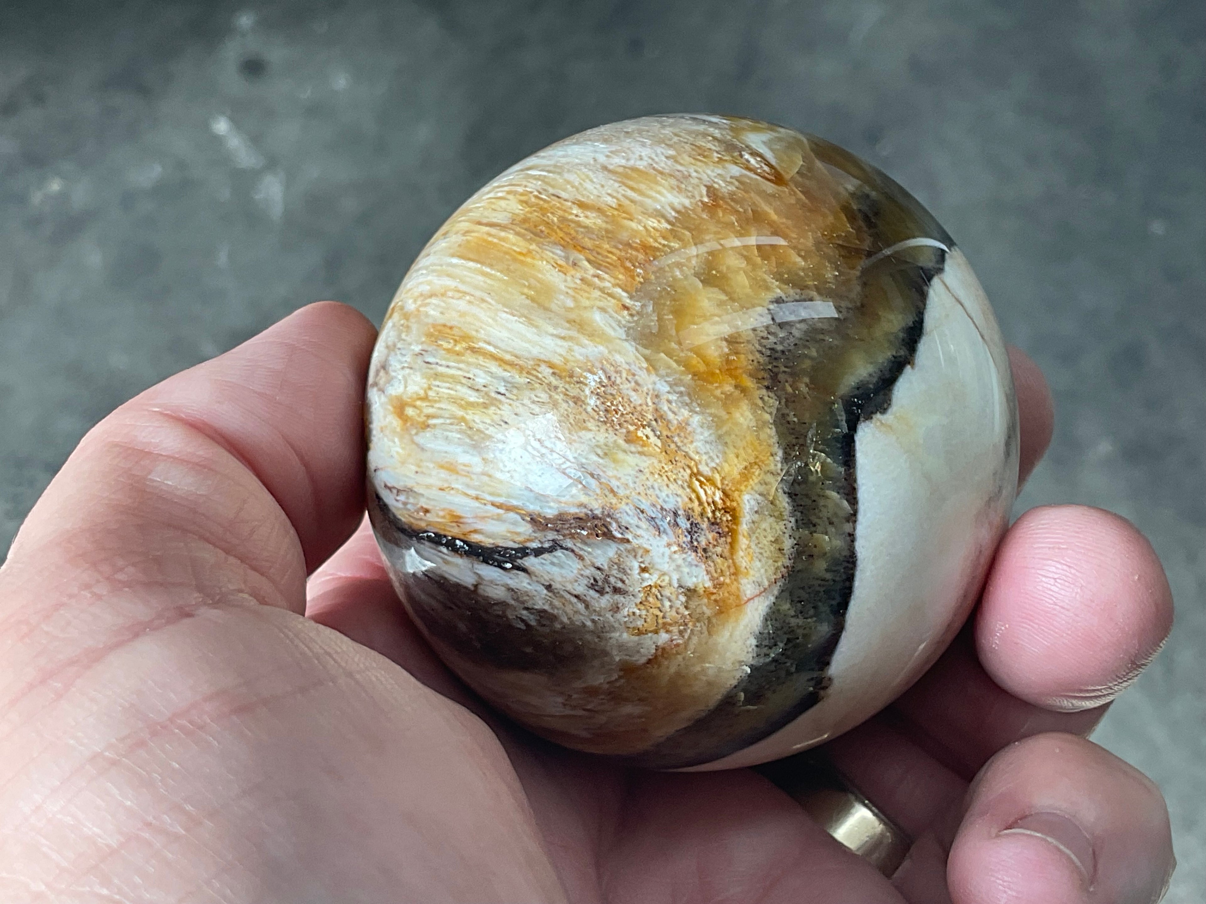 234g (6cm diameter) Opalised/Agatised Wood Sphere 1C from Springsure