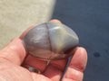78g Orca Agate Palmstone 1C