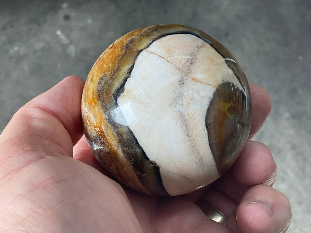 234g (6cm diameter) Opalised/Agatised Wood Sphere 1C from Springsure