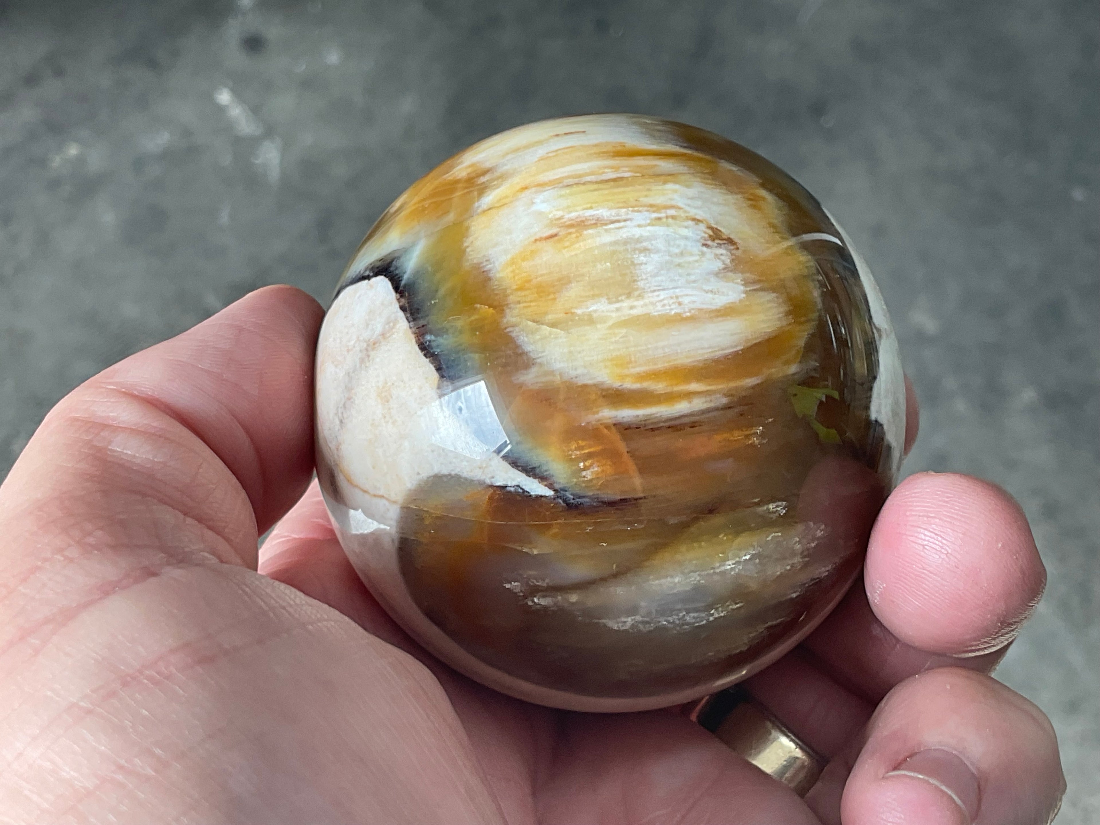 234g (6cm diameter) Opalised/Agatised Wood Sphere 1C from Springsure
