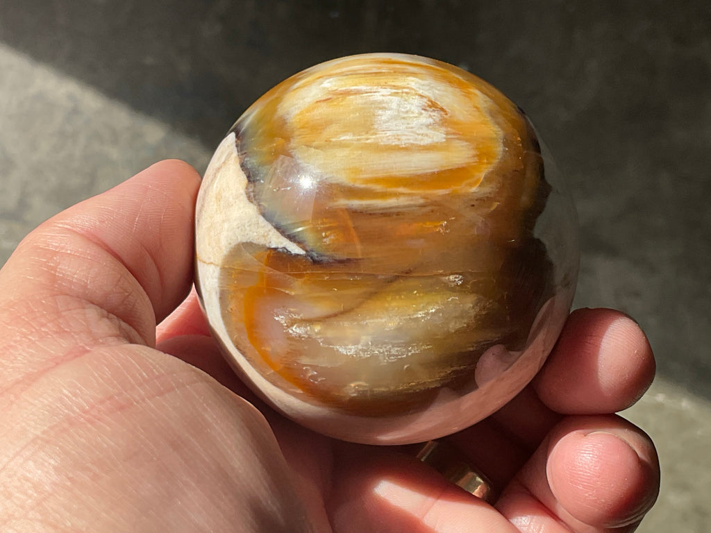 234g (6cm diameter) Opalised/Agatised Wood Sphere 1C from Springsure