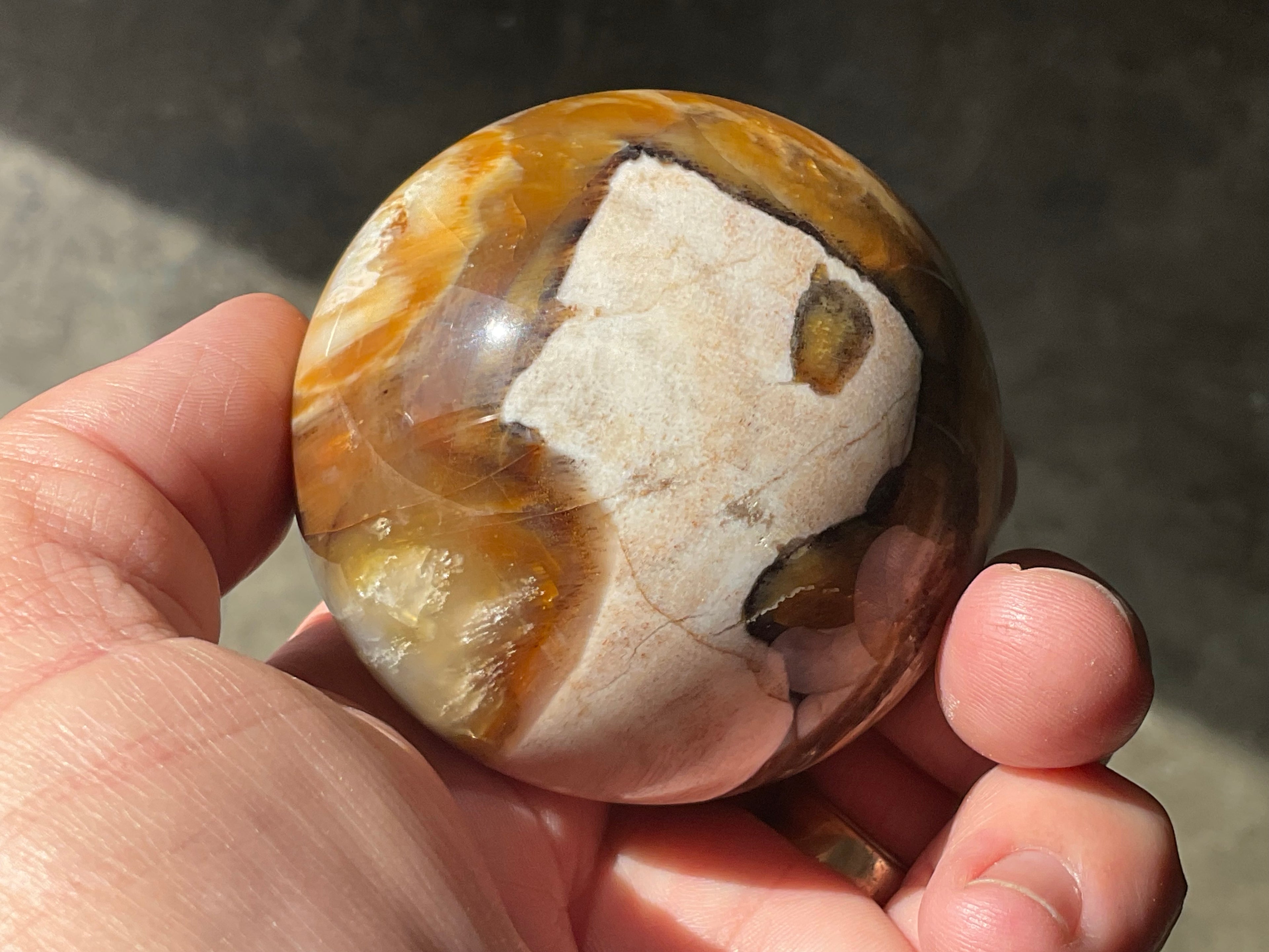 234g (6cm diameter) Opalised/Agatised Wood Sphere 1C from Springsure