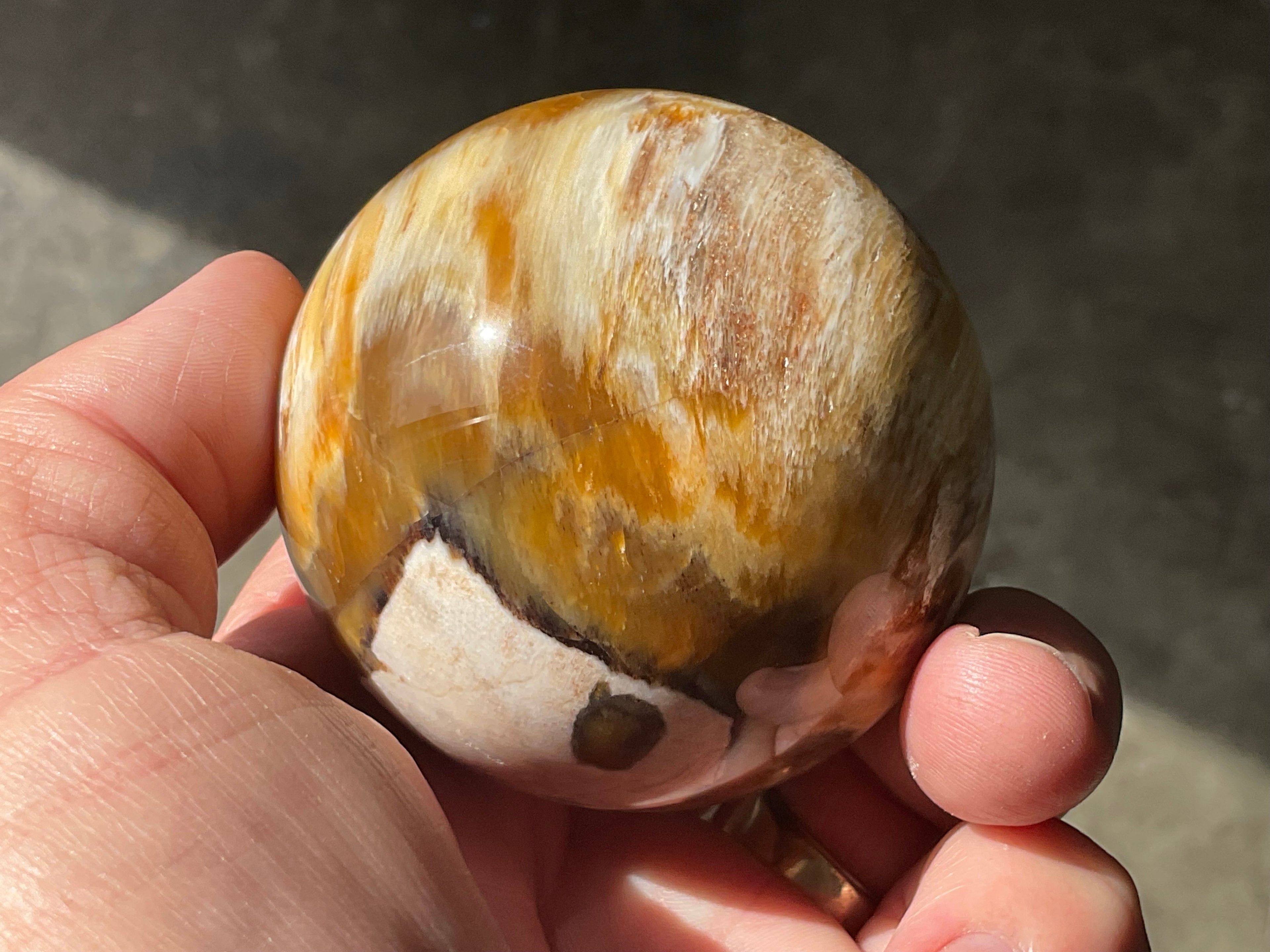 234g (6cm diameter) Opalised/Agatised Wood Sphere 1C from Springsure