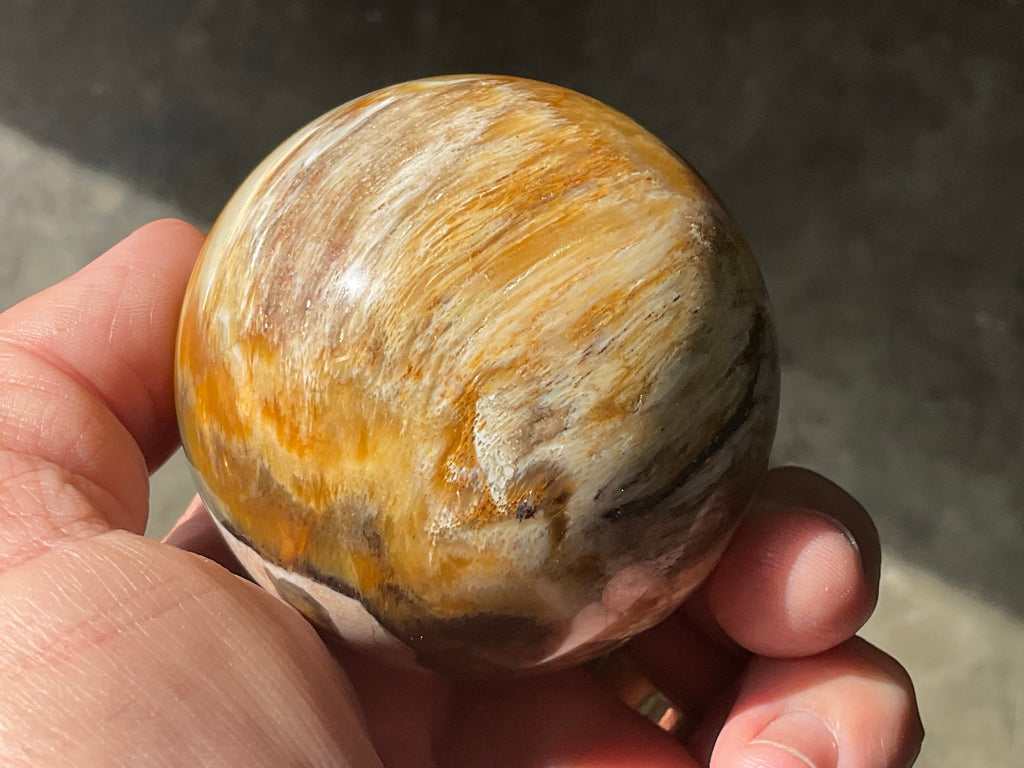 234g (6cm diameter) Opalised/Agatised Wood Sphere 1C from Springsure