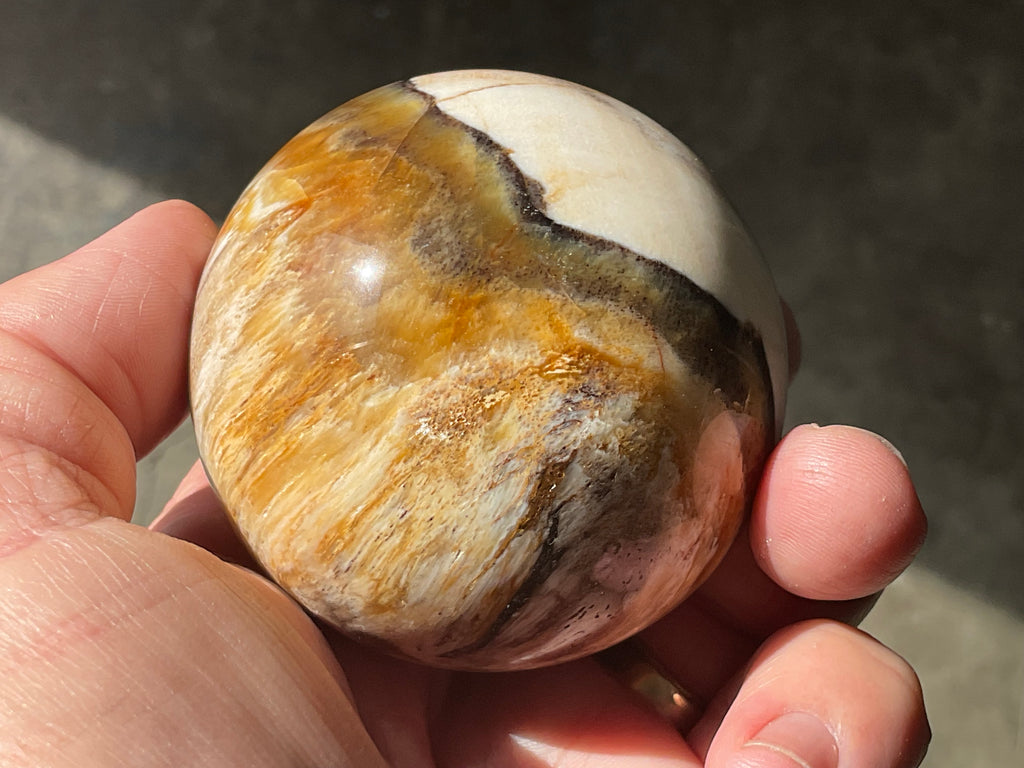 234g (6cm diameter) Opalised/Agatised Wood Sphere 1C from Springsure
