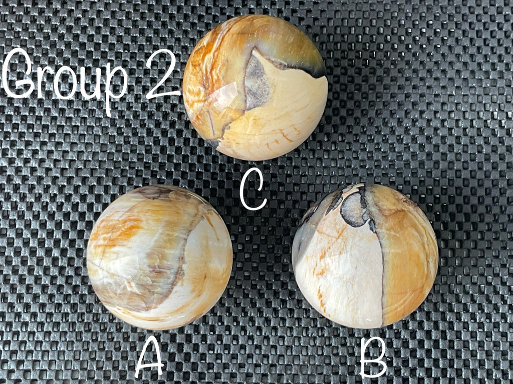 288g (6.5cm diameter) Opalised/Agatised Wood Sphere 2A from Springsure