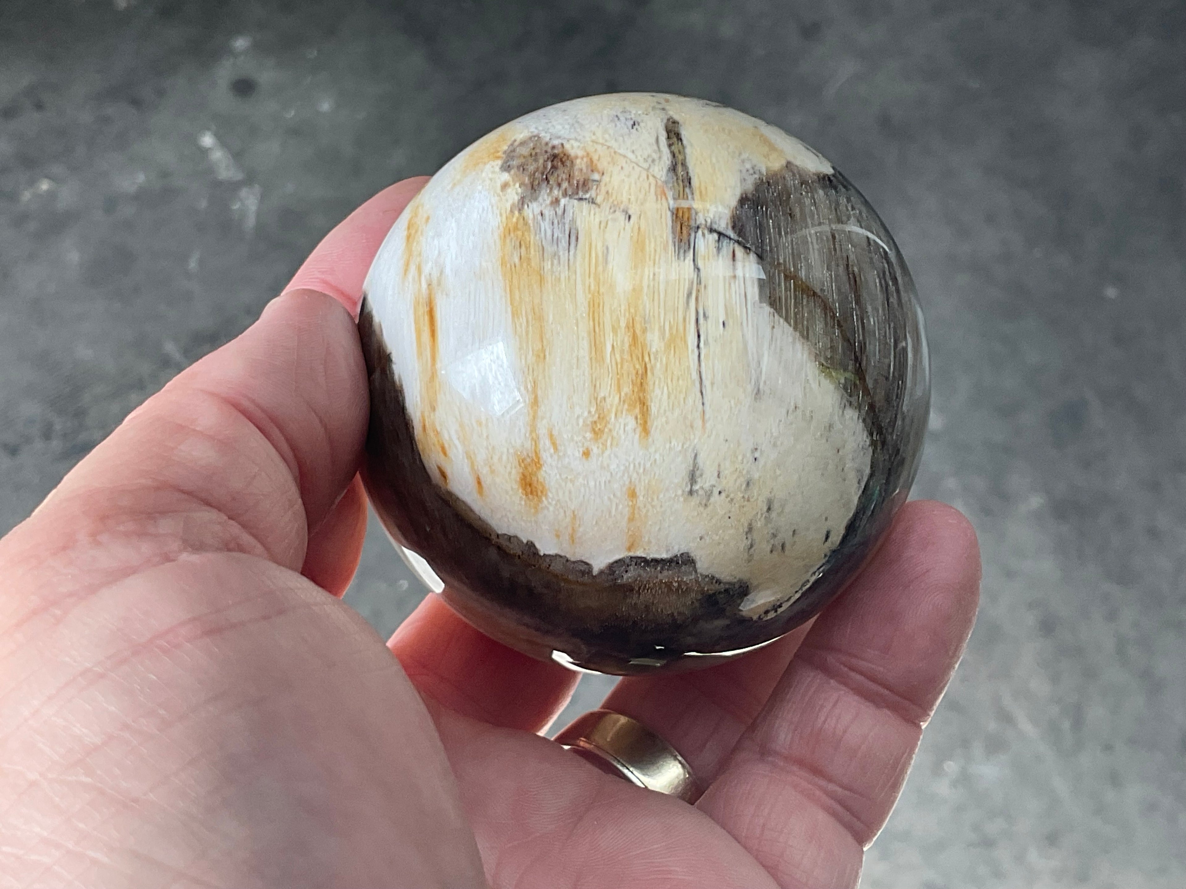 288g (6.5cm diameter) Opalised/Agatised Wood Sphere 2A from Springsure