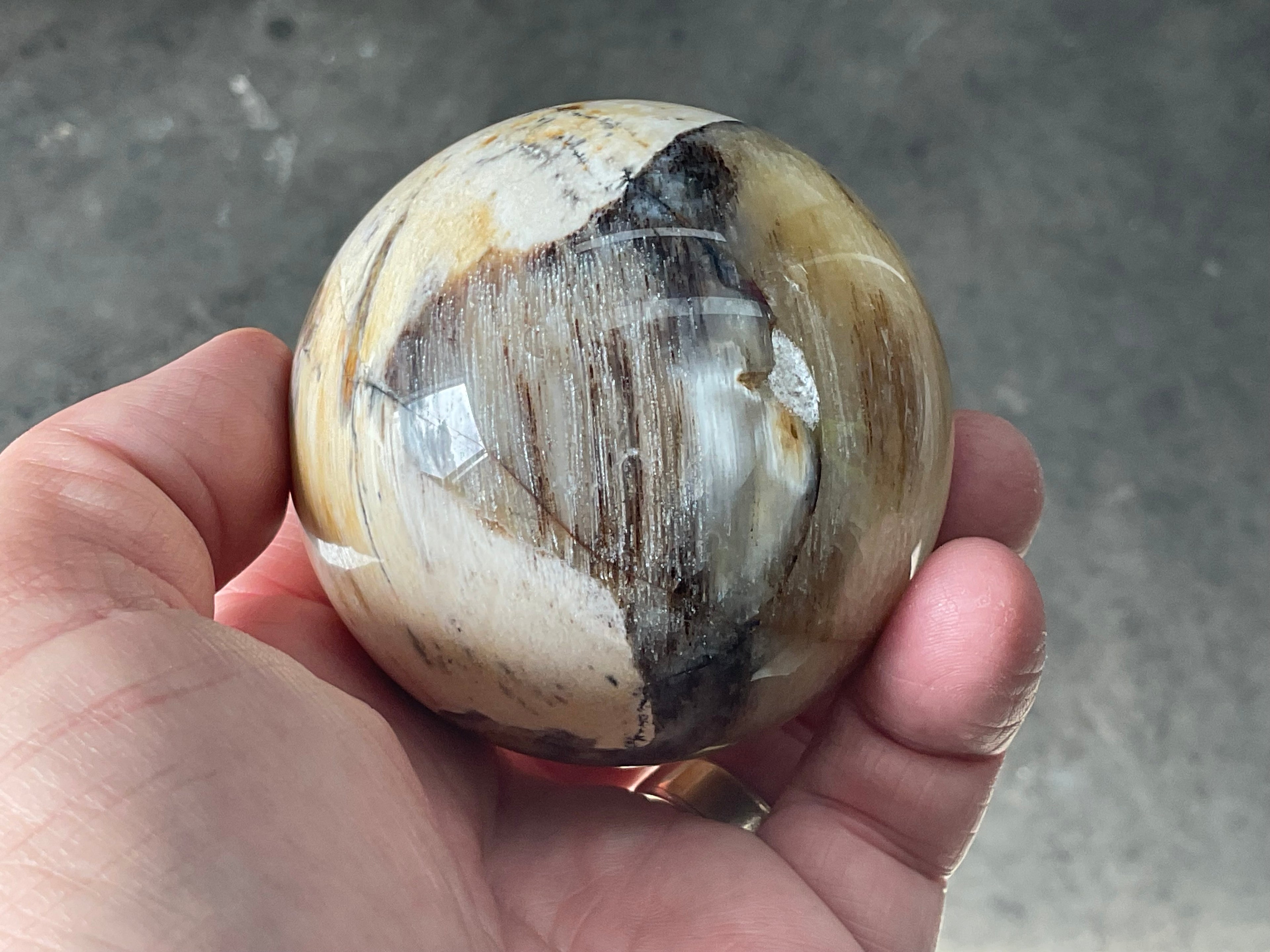 288g (6.5cm diameter) Opalised/Agatised Wood Sphere 2A from Springsure