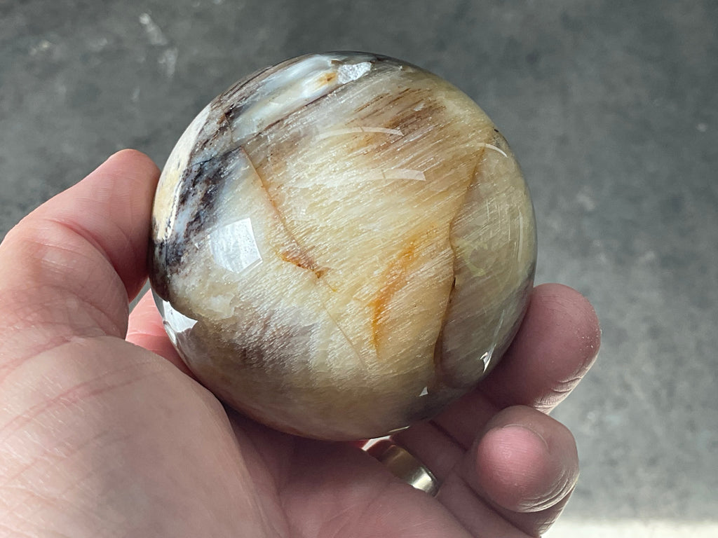 288g (6.5cm diameter) Opalised/Agatised Wood Sphere 2A from Springsure