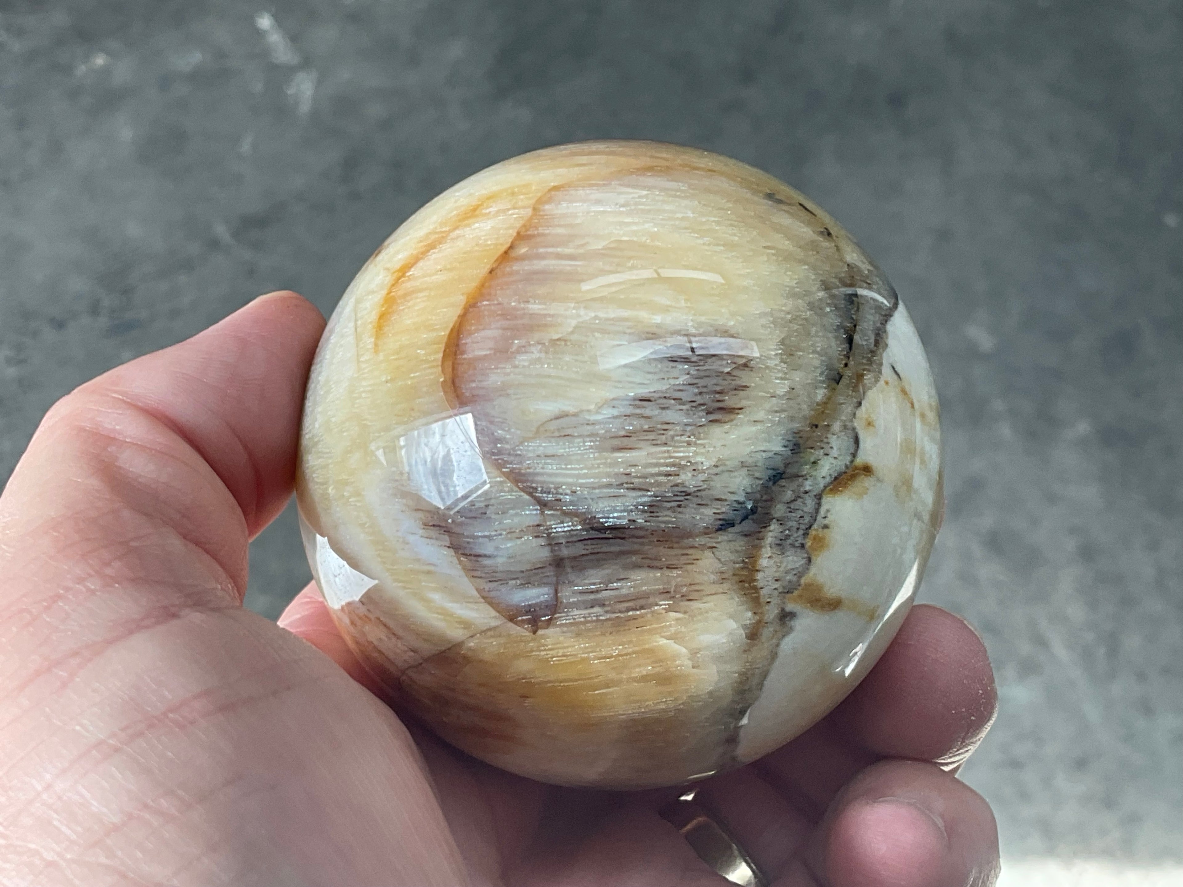 288g (6.5cm diameter) Opalised/Agatised Wood Sphere 2A from Springsure