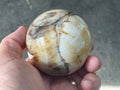 288g (6.5cm diameter) Opalised/Agatised Wood Sphere 2A from Springsure