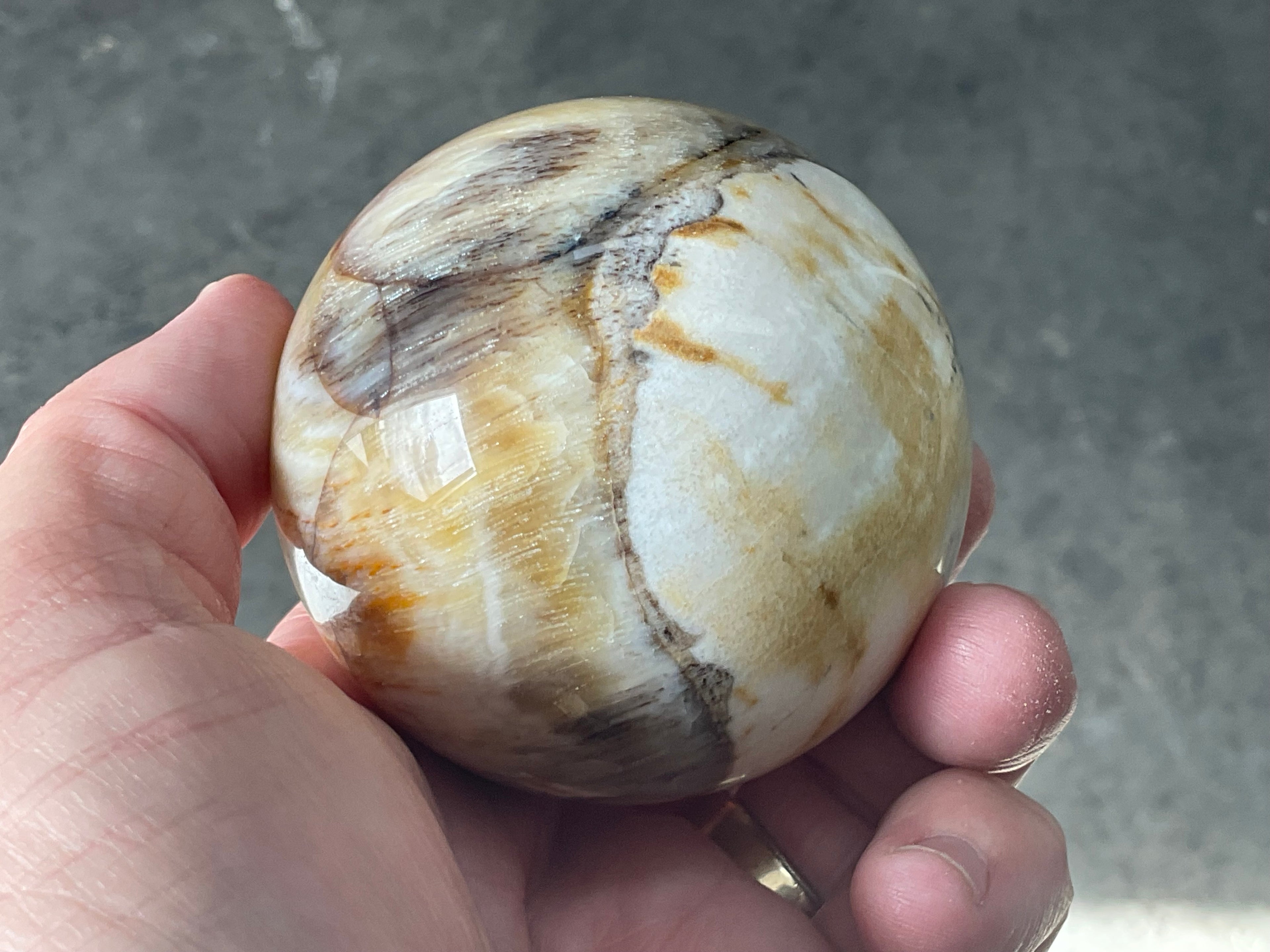 288g (6.5cm diameter) Opalised/Agatised Wood Sphere 2A from Springsure