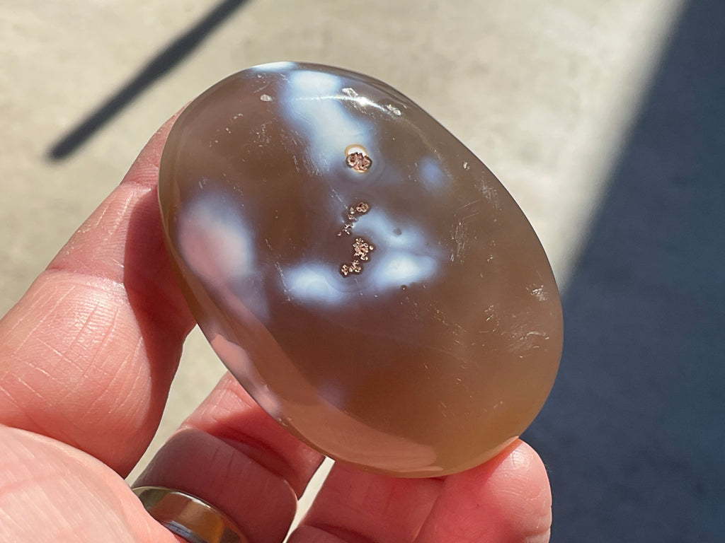86g Orca Agate Palmstone 2B