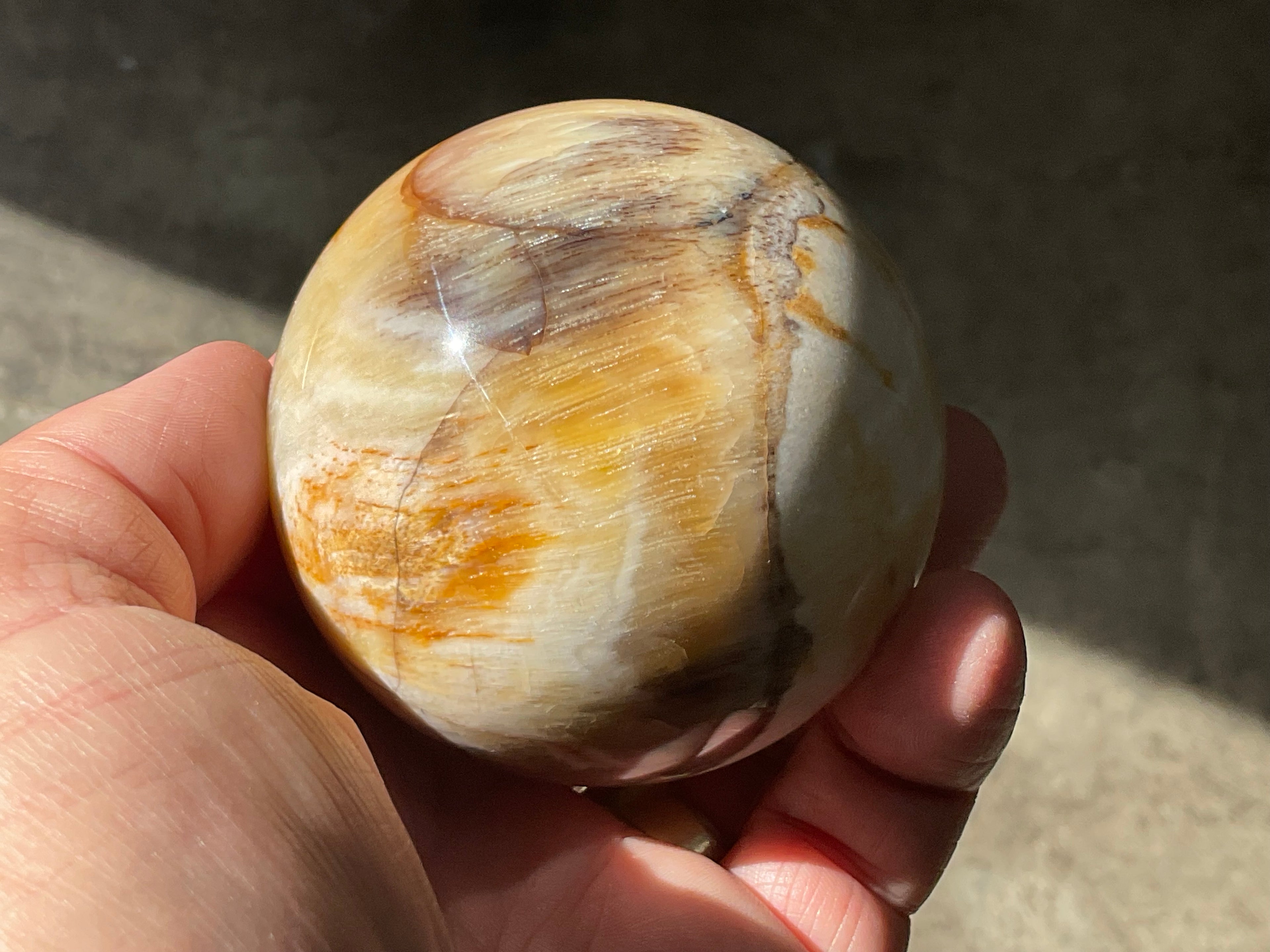 288g (6.5cm diameter) Opalised/Agatised Wood Sphere 2A from Springsure