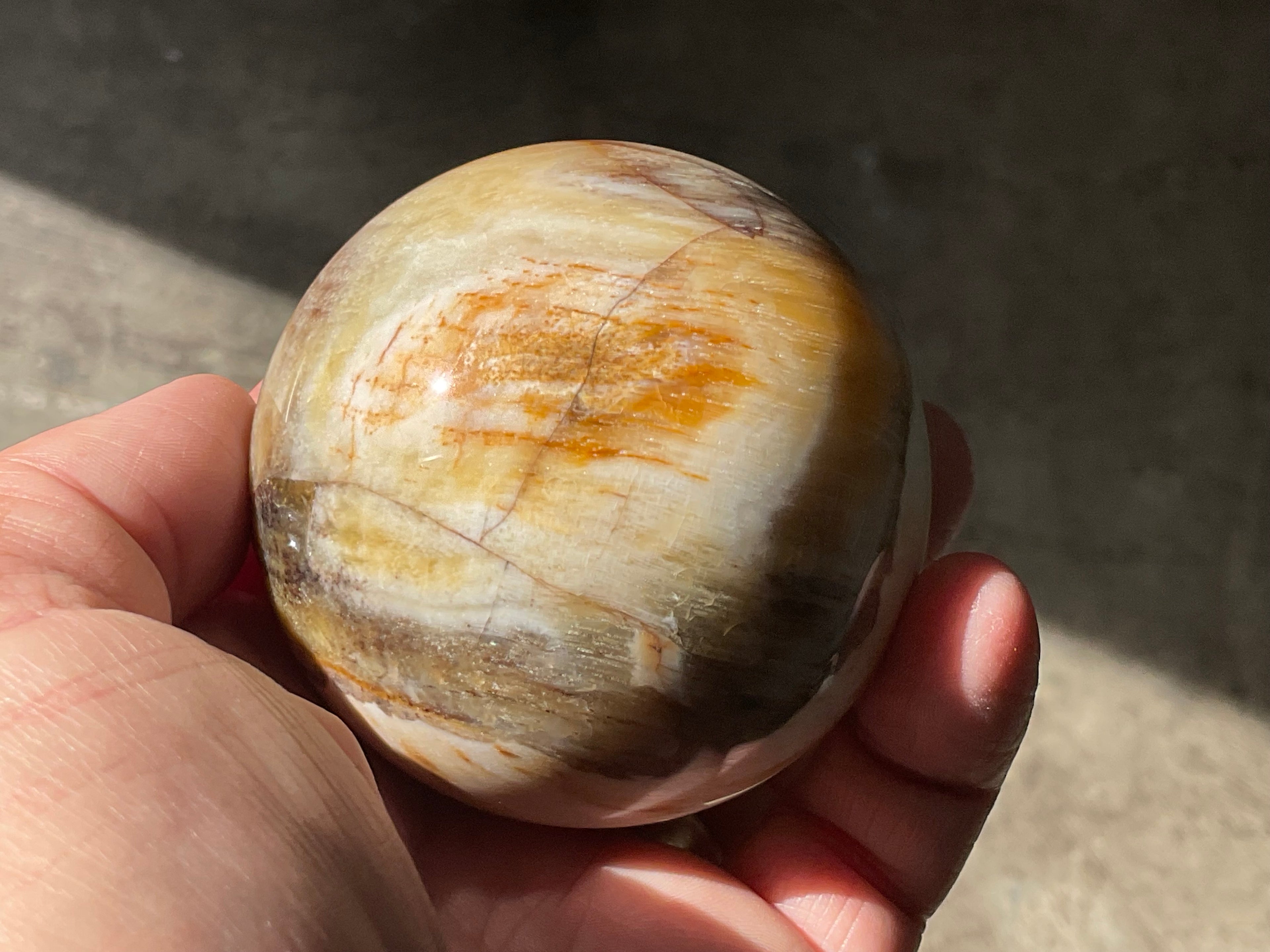 288g (6.5cm diameter) Opalised/Agatised Wood Sphere 2A from Springsure