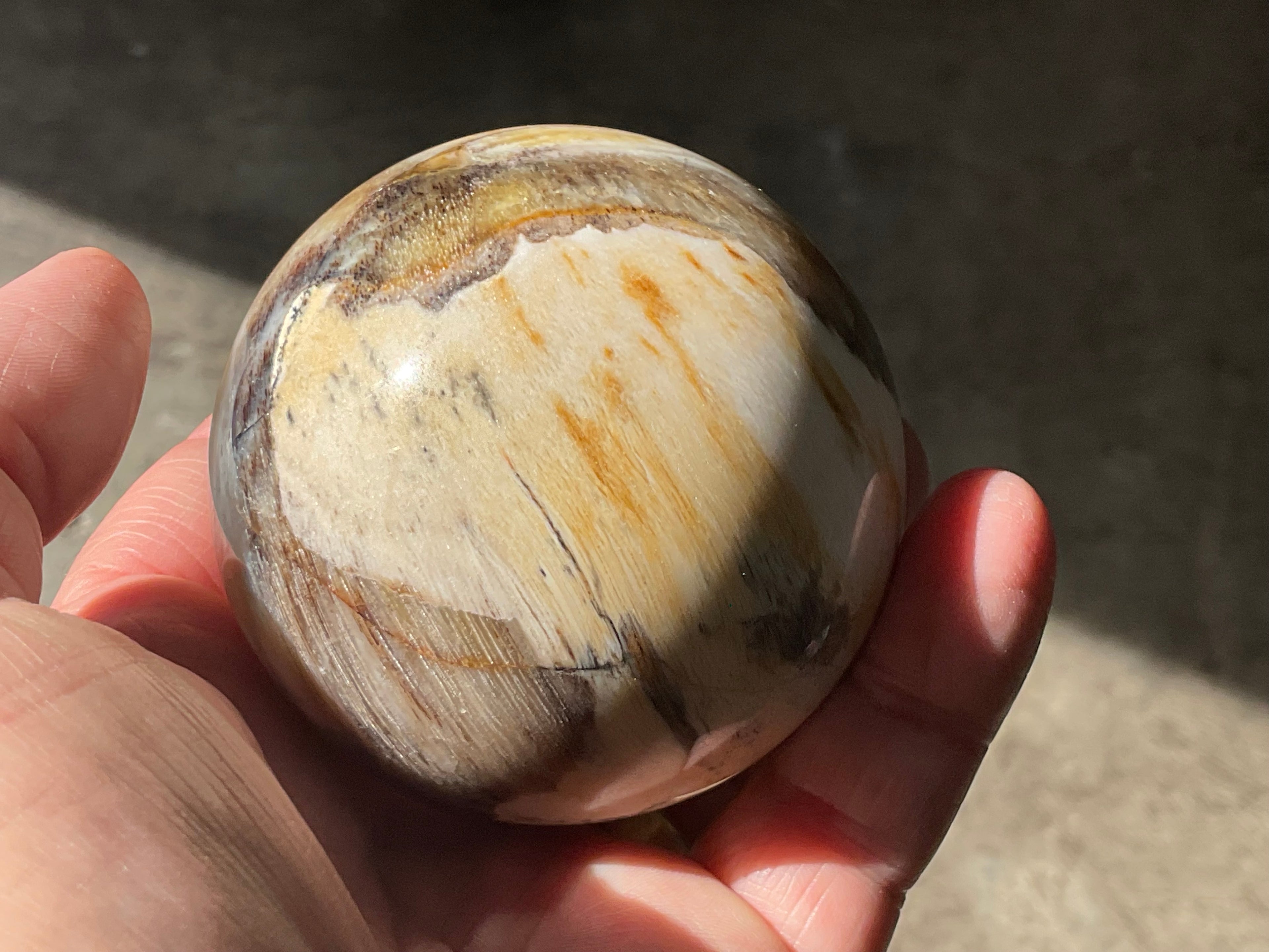 288g (6.5cm diameter) Opalised/Agatised Wood Sphere 2A from Springsure