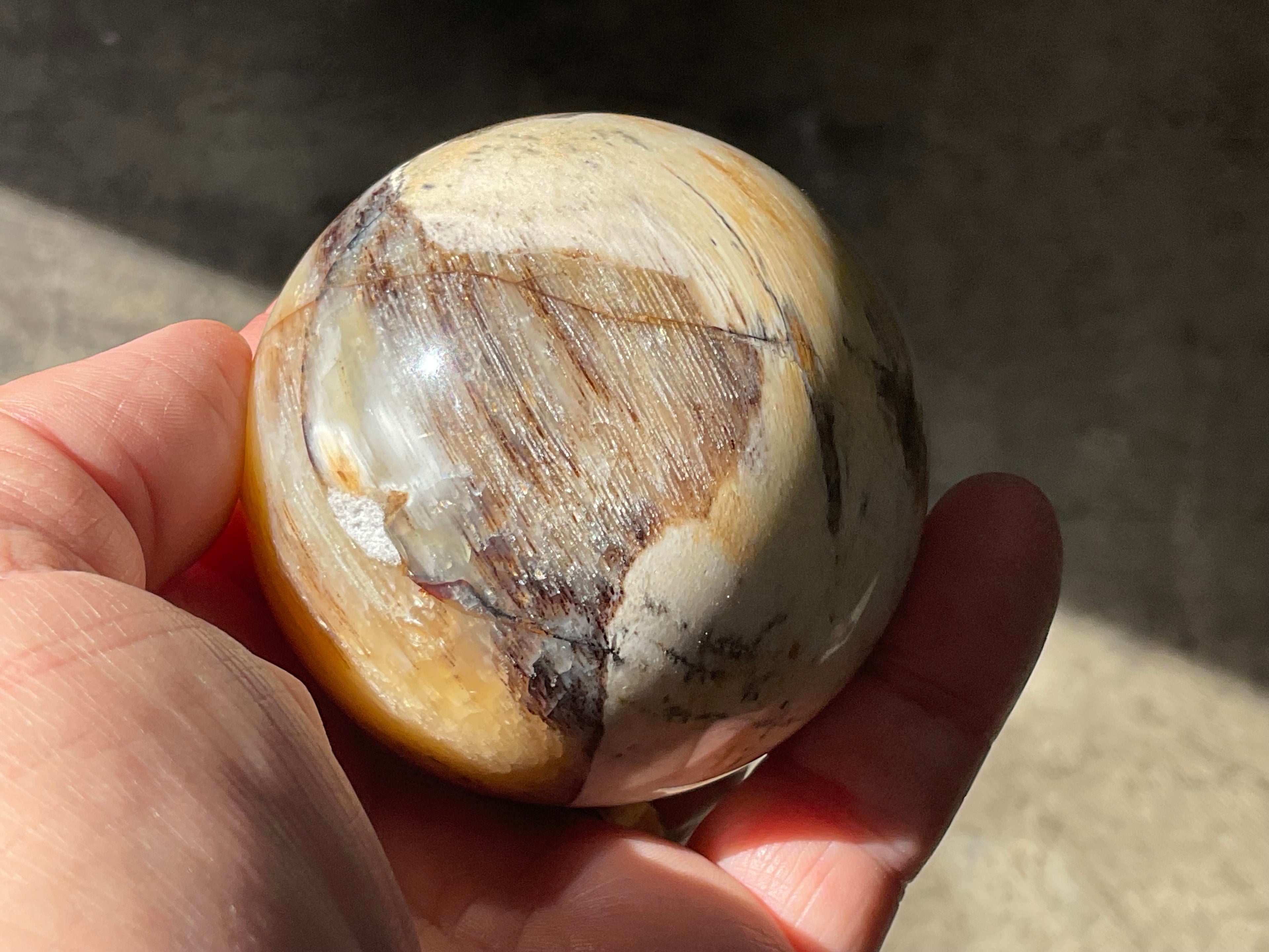 288g (6.5cm diameter) Opalised/Agatised Wood Sphere 2A from Springsure